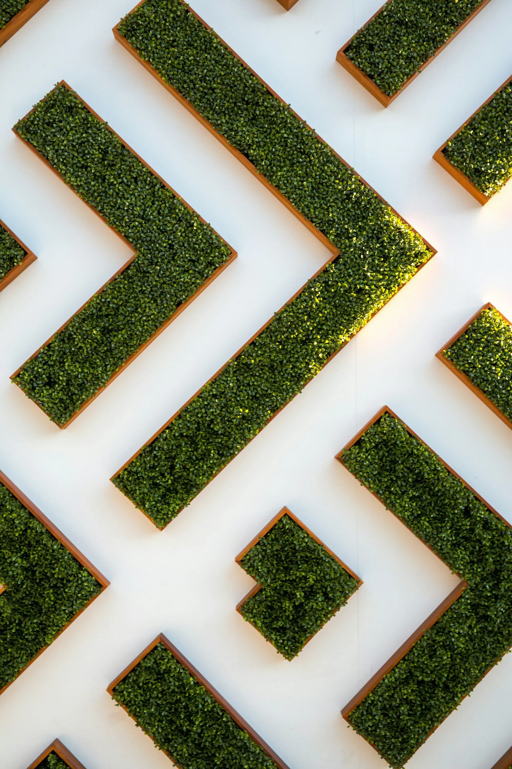 Interior decor with rectangular planters filled with green plants arranged in a geometric pattern on a white wall.