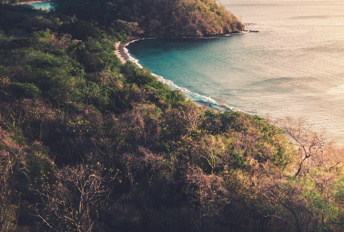 Travel Inspo Night: Yoga Retreat in Costa Rica