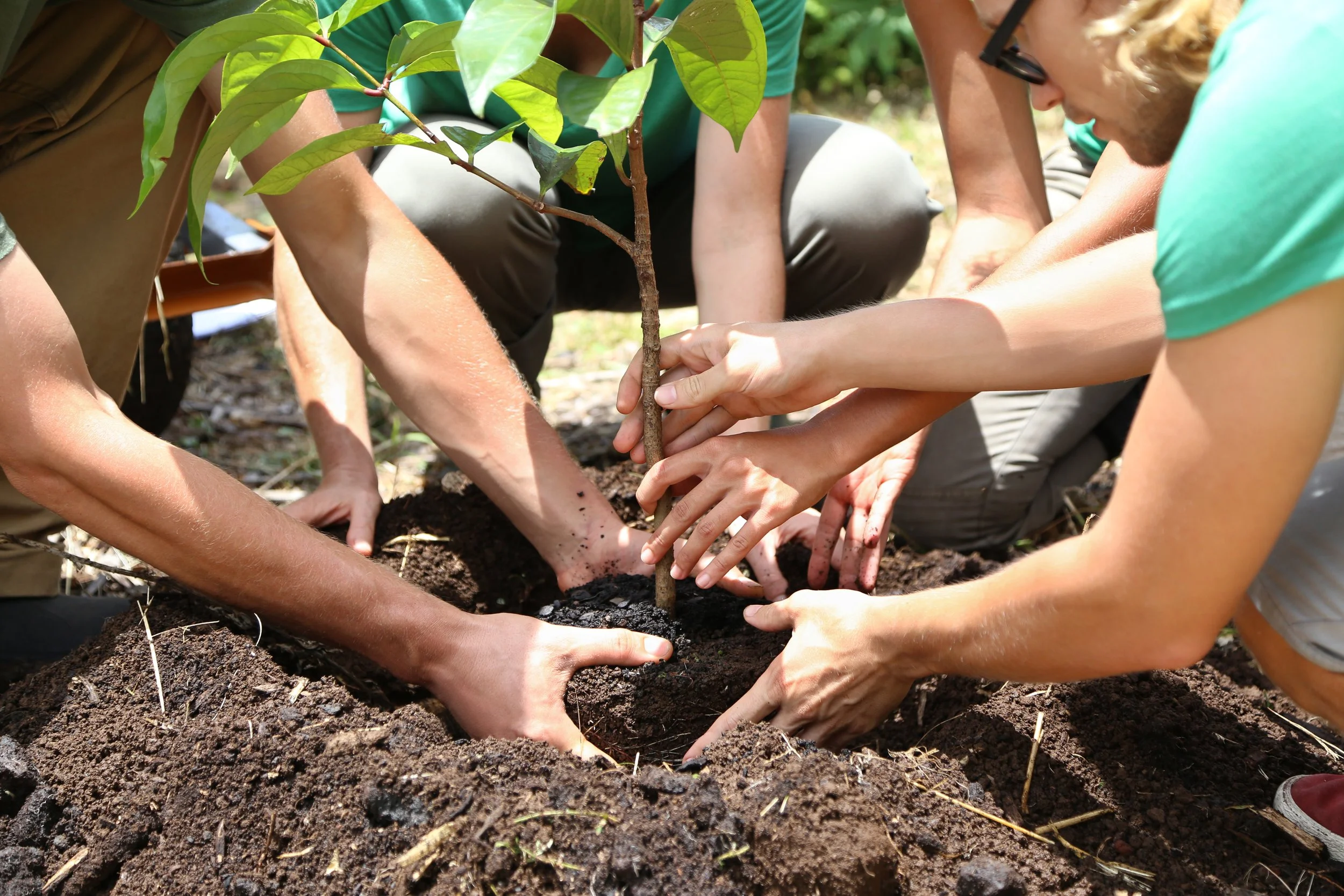 People working in the soil together