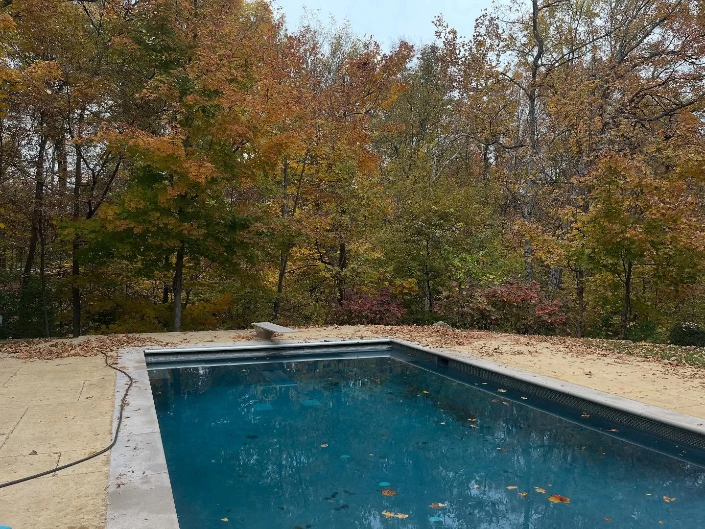 Thankful for great customers and the beautiful colors in nature!! 🍁  And heaters- definitely thankful for heaters! ☺️ 🌬️