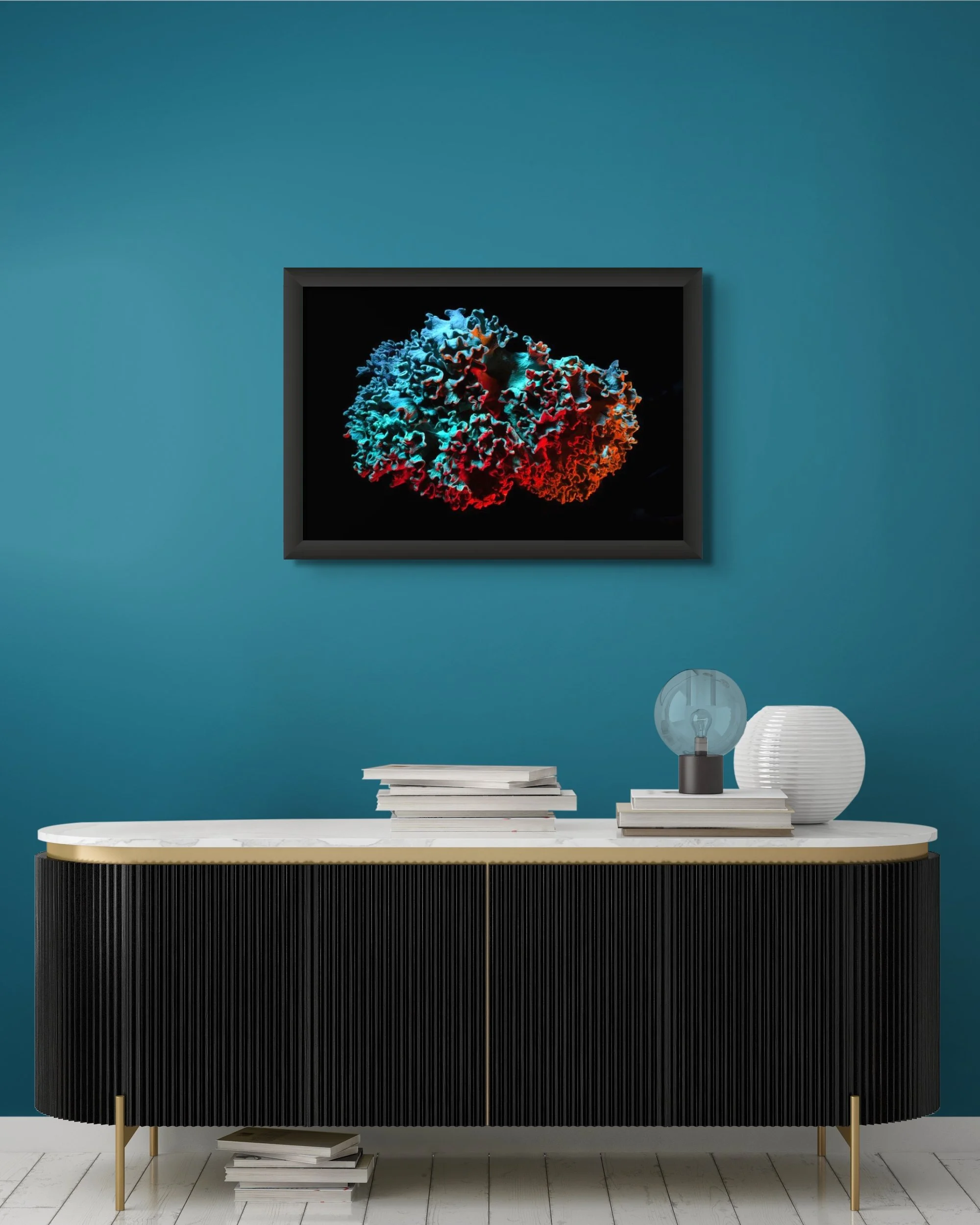 brains-full copy.jpg