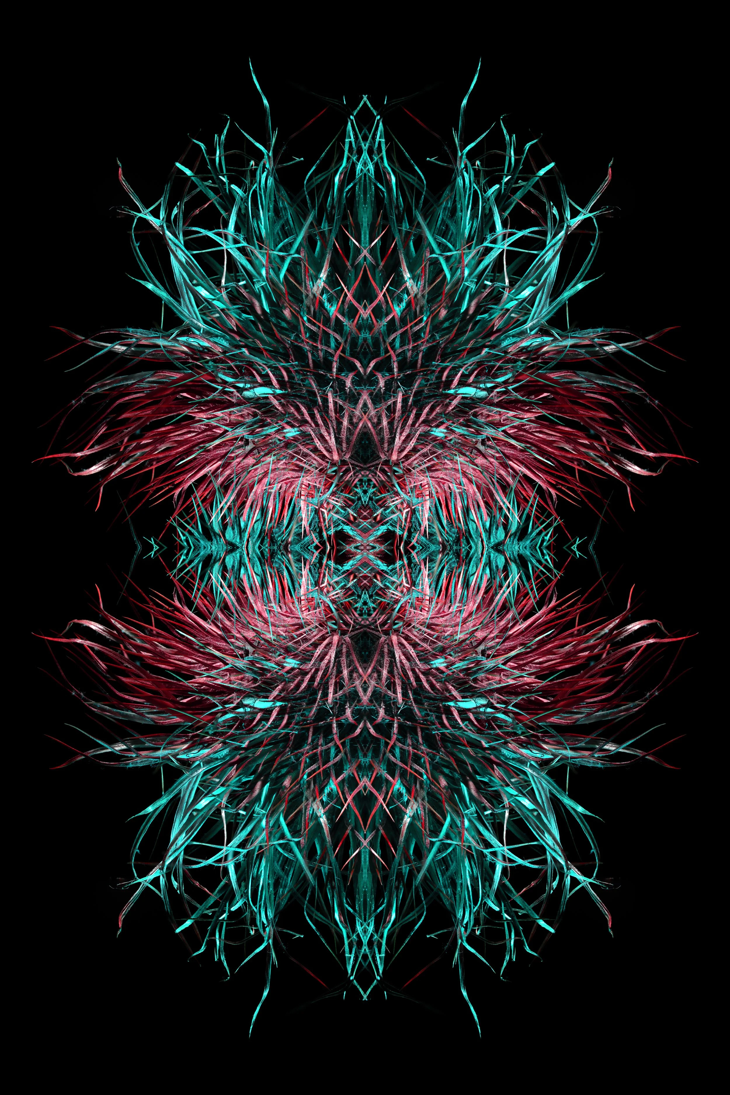 largespiky.jpg