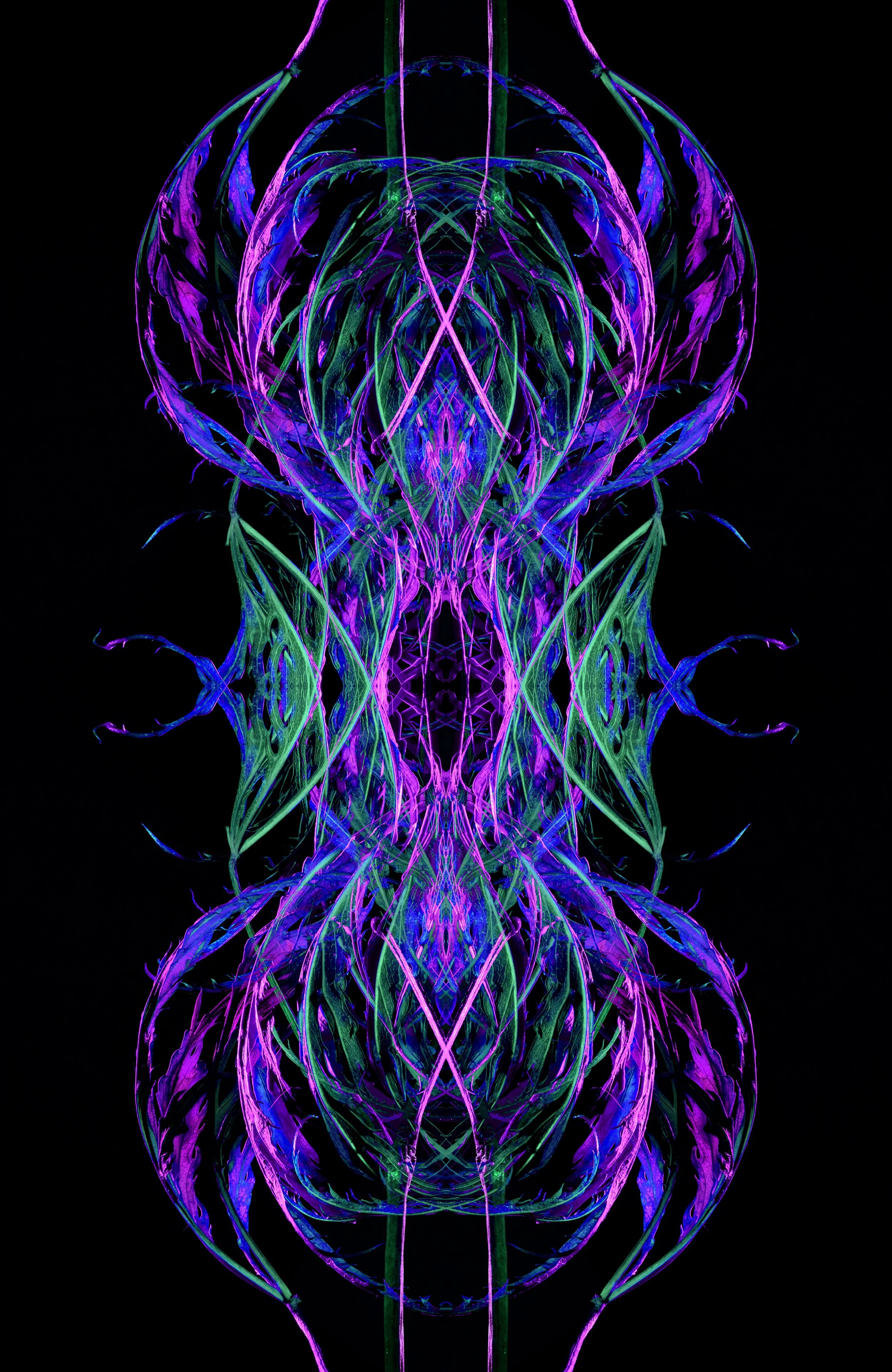 large purple copy.jpg