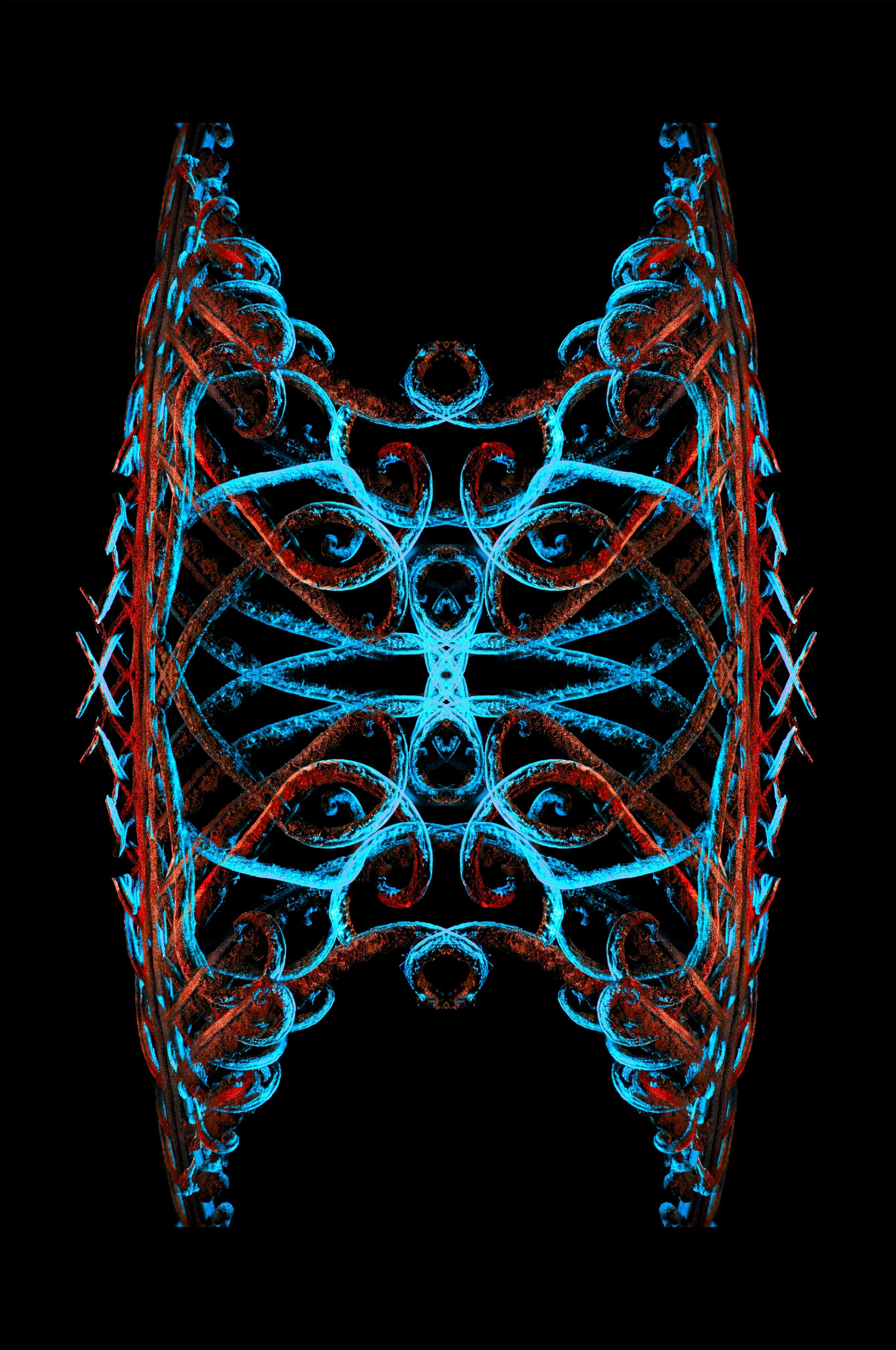 largebluered copy.jpg