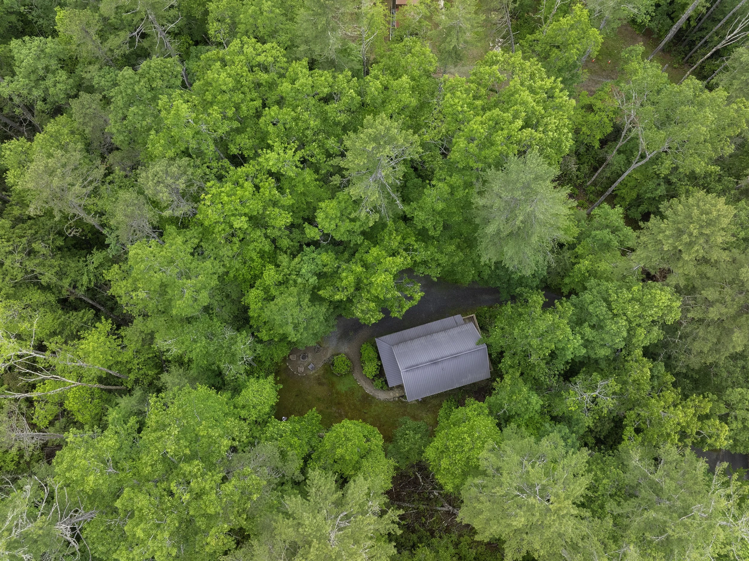 Our cabin in the woods