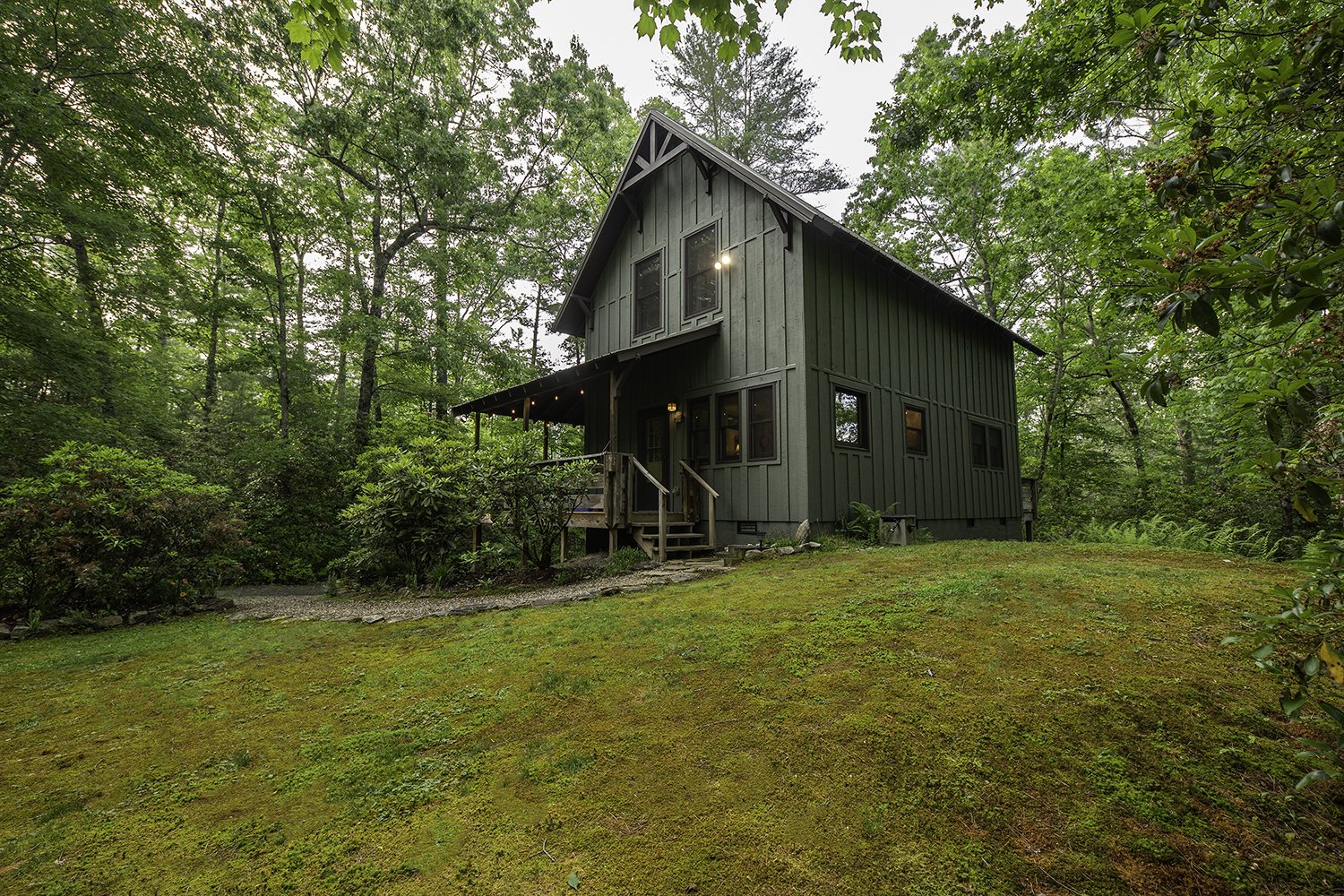 Cute modern cabin in the woods with mossy yard surrounded by hardwood forest.