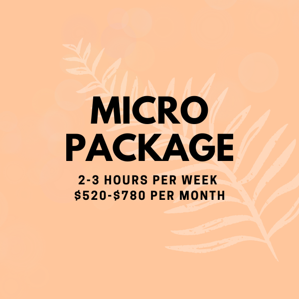 Package 3 / 2-3 hours