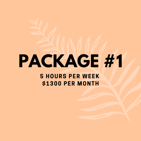 Package 1 / 5 hours