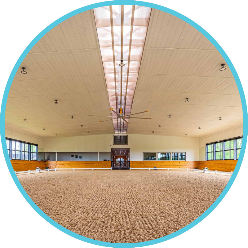 An indoor equestrian riding arena with a sandy surface, large windows on the sides, and wooden barriers along the edges, illuminated by ceiling lights and a natural light strip on the ceiling.