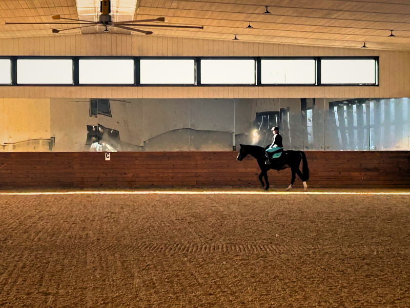 4 Private Riding Lessons Package