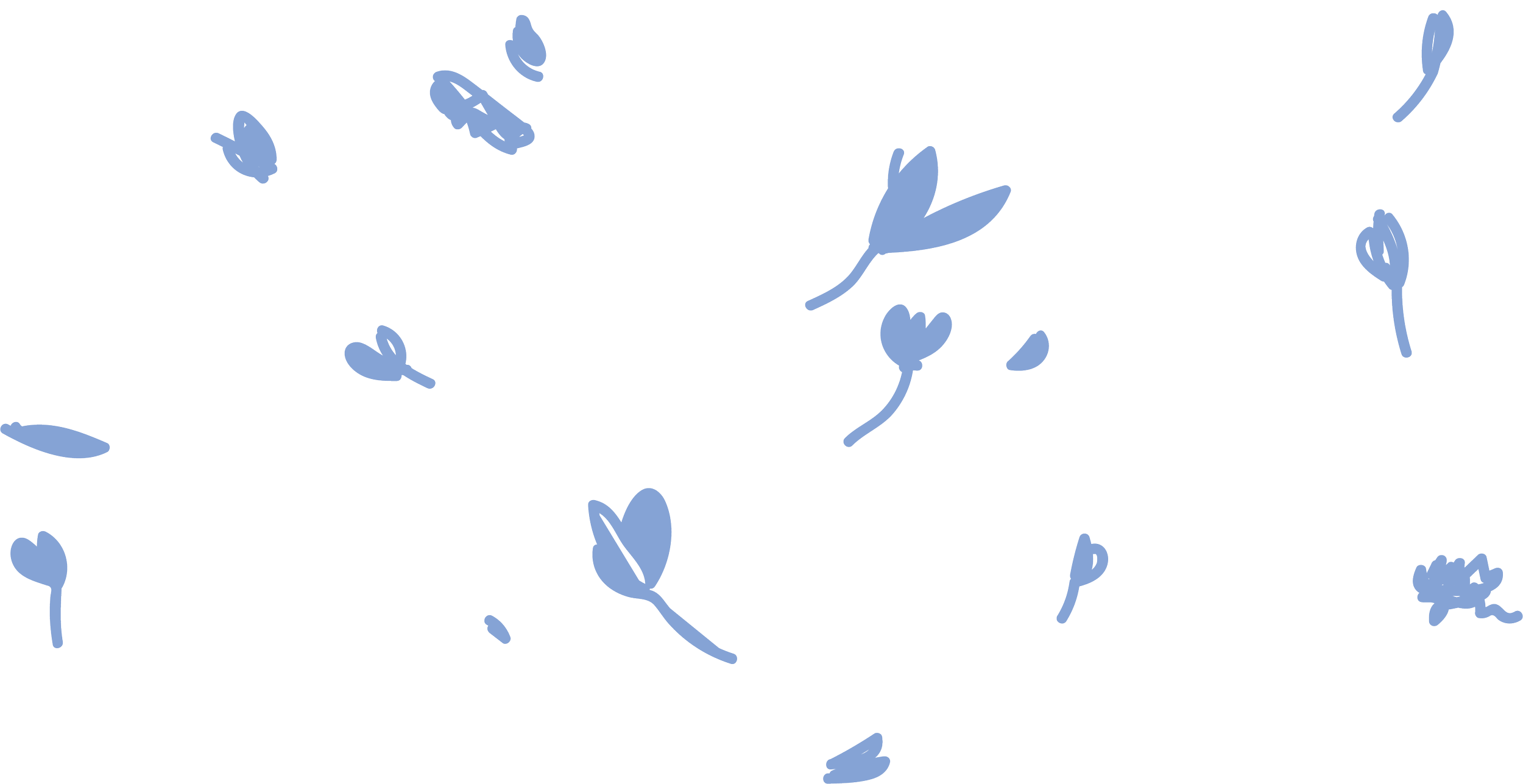 Dessins de petits bouquets de fleurs bleues dispersés sur un fond blanc.