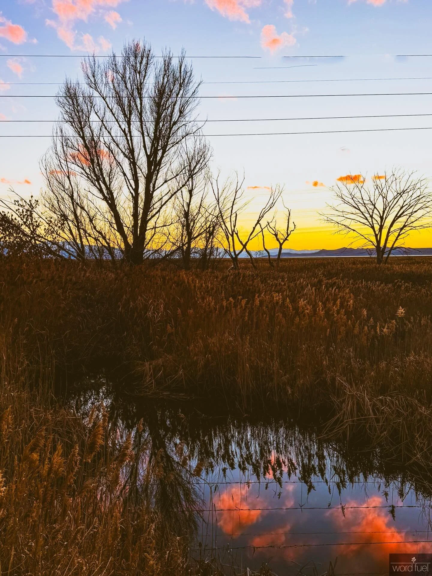 It was gorgeous out tonight&hellip; 😍
___
#sunsetphotography #photoofday #myart #naturelover #mountains