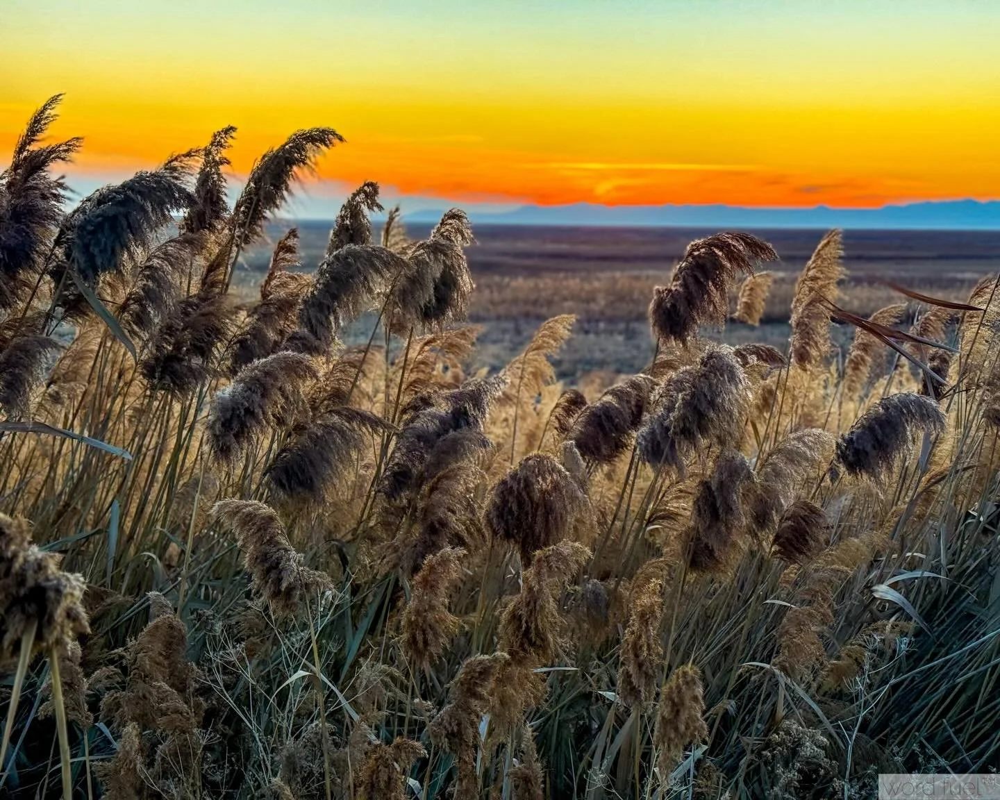 I dream in colors&hellip; ❤️🧡💙
___
#color #magichour #photographer #myhappyplace #sunsets_captures