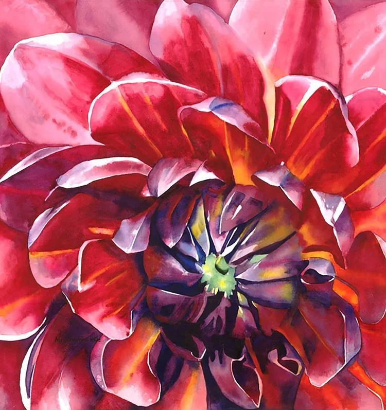 Dazzling Dahlia