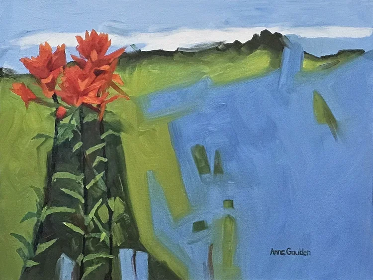 Indian Paintbrush