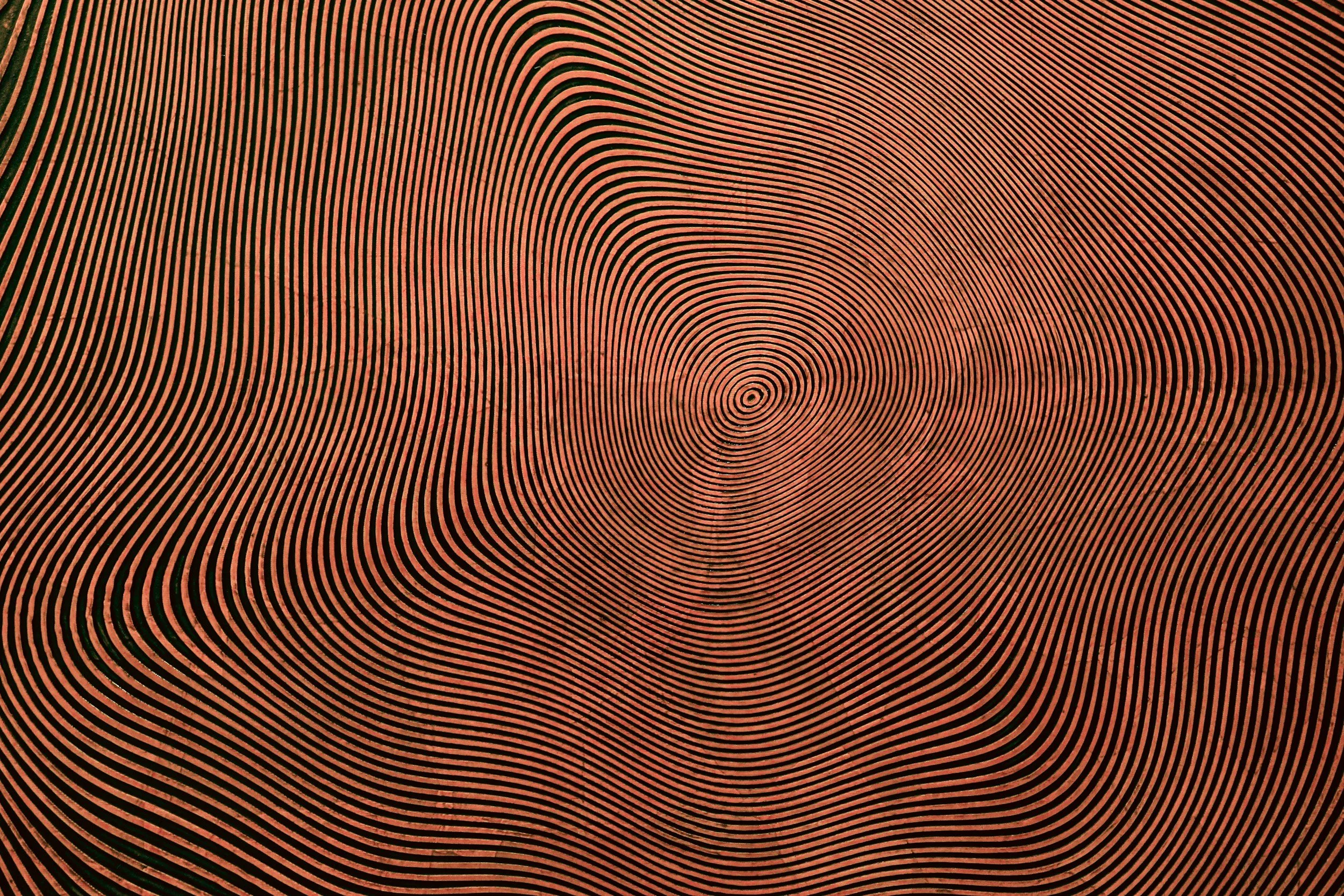 Close-up of a patterned surface with concentric circles and wavy lines in black and reddish-brown colors.