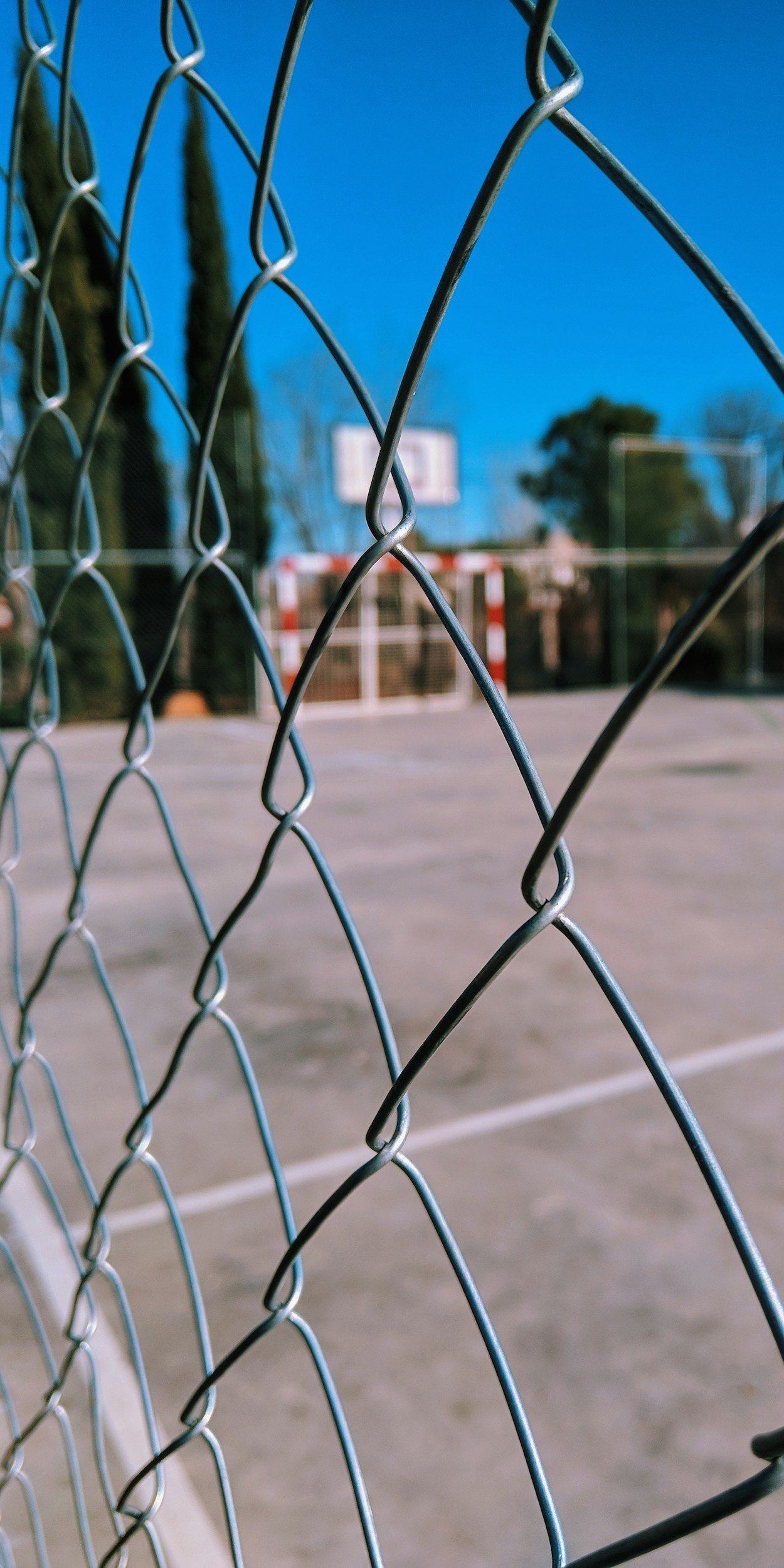Dodgeball Ethics: How Late-Stage Capitalism Mistakes Winning for Wisdom