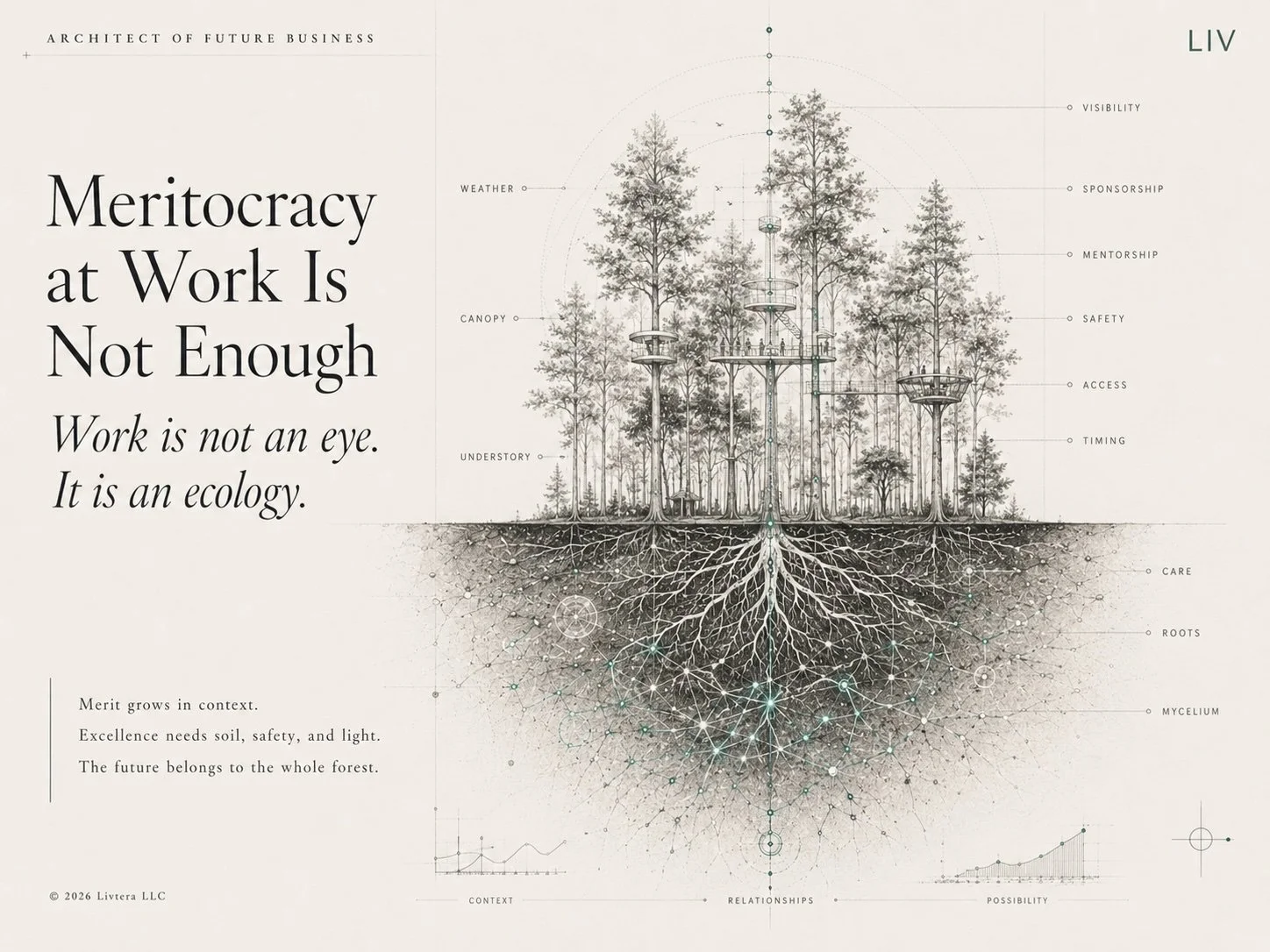 Work Is Not a Meritocracy. It Is an Ecology.