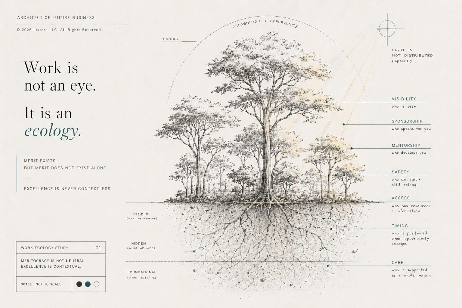 Minimal architectural-style forest diagram titled “Work is not an eye. It is an ecology,” showing tree canopy, roots, sunlight, and labeled workplace conditions including visibility, sponsorship, mentorship, safety, access, timing, and care.