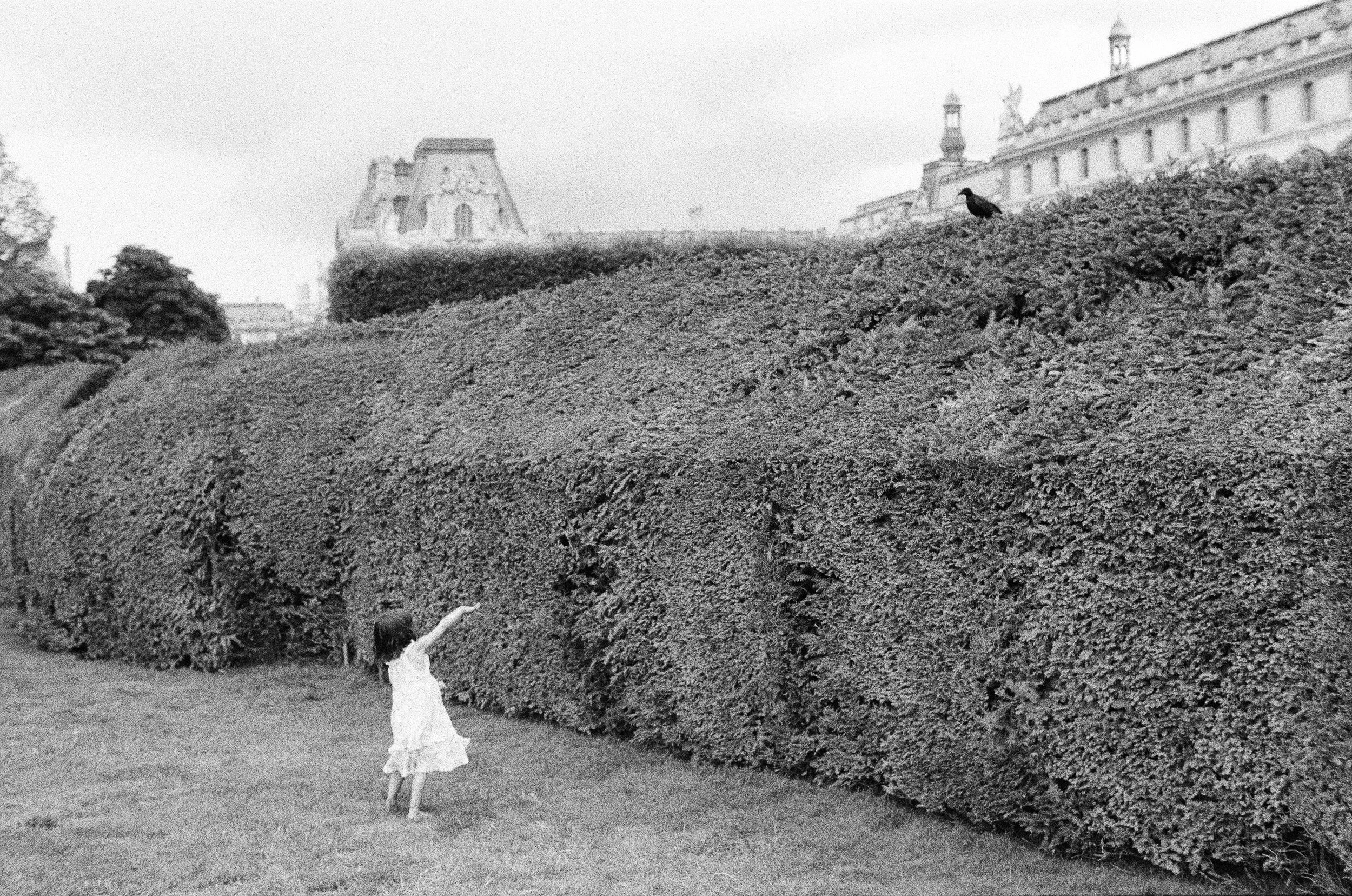 Small girl in front of tall hedge, analogue photograph