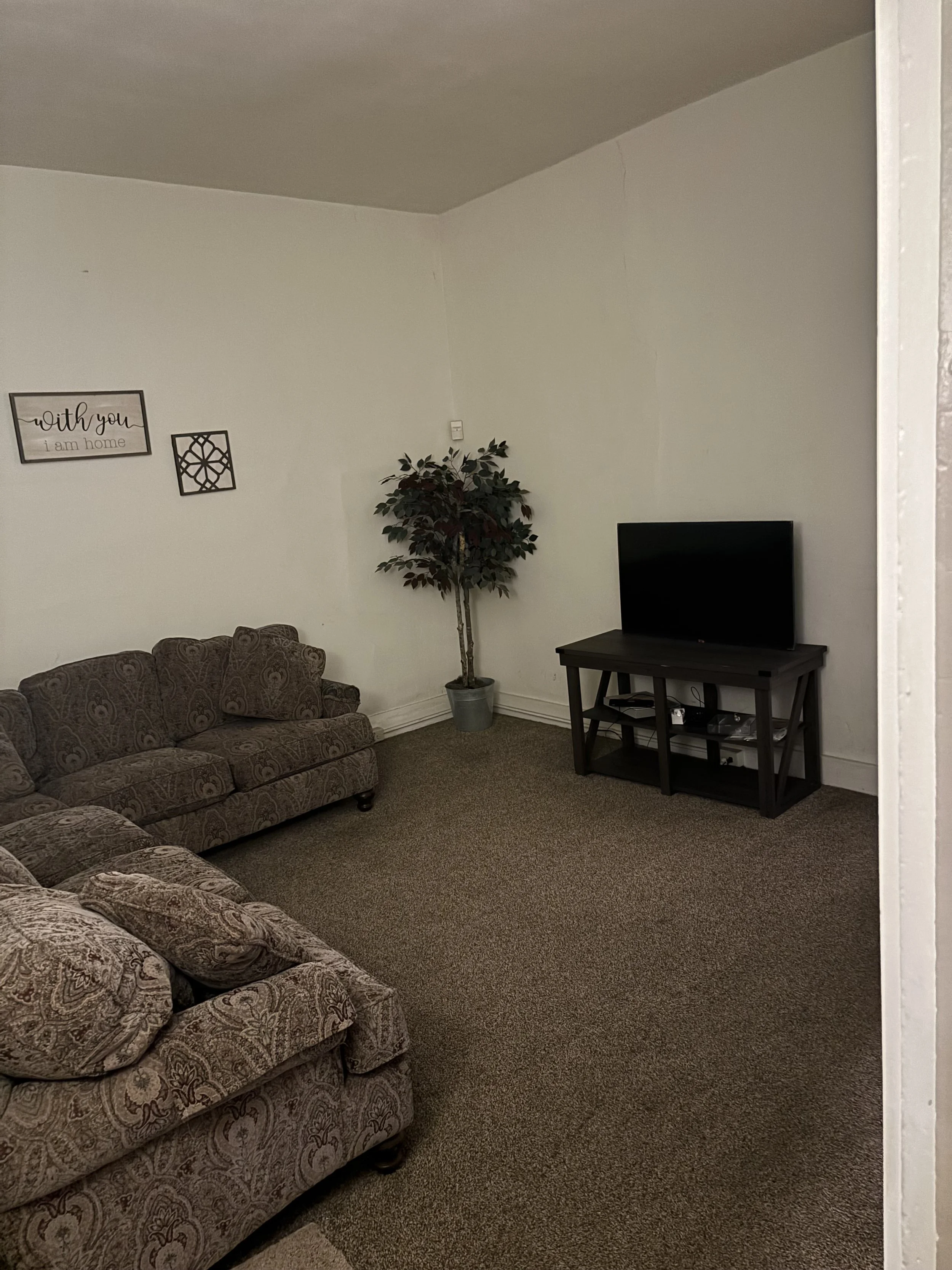 Living room with a patterned sofa, an artificial potted plant, a TV on a stand, and wall decor with writing and geometric shapes.