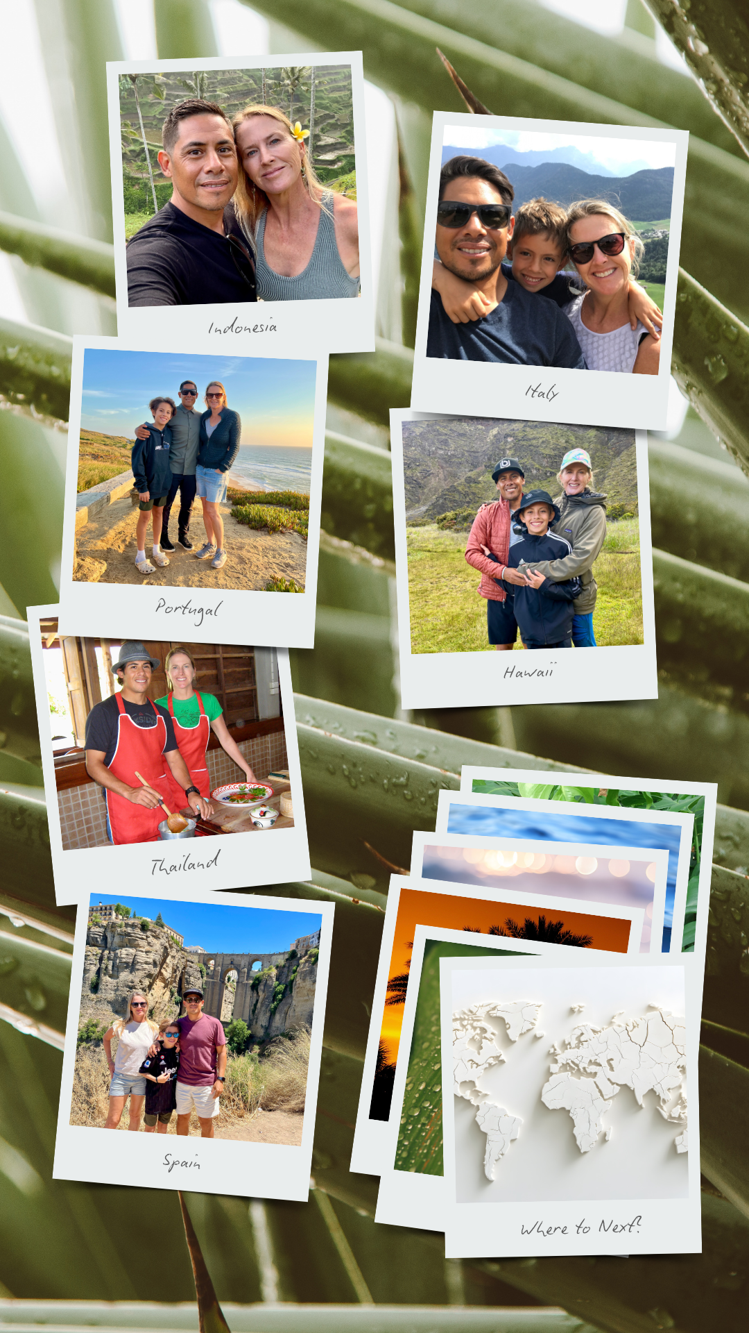 A collage of travel photos from different countries, including Indonesia, Italy, Portugal, Hawaii, Thailand, Spain, with a world map at the bottom right labeled "Where to Next?". The background has a close-up of green leaves with water droplets.