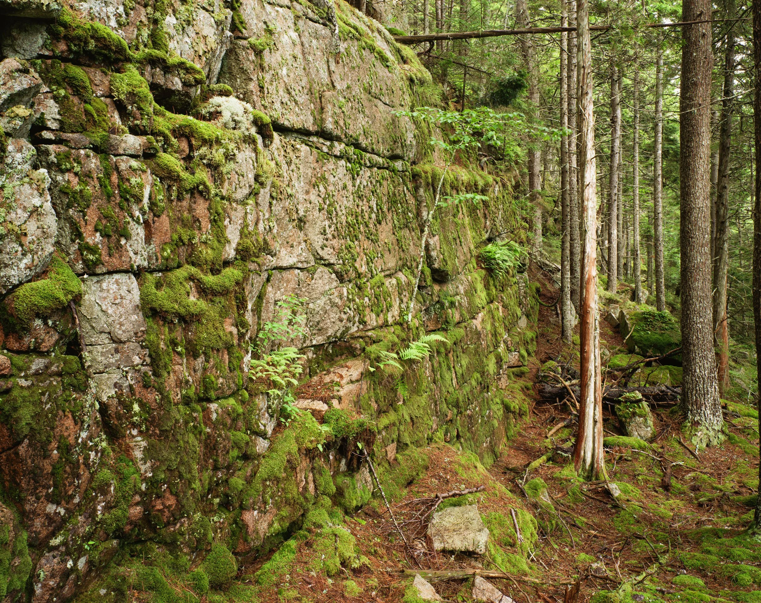 Mossy-Ledge-near-Skidoo-Trail,-Northeast-Harbor.jpg