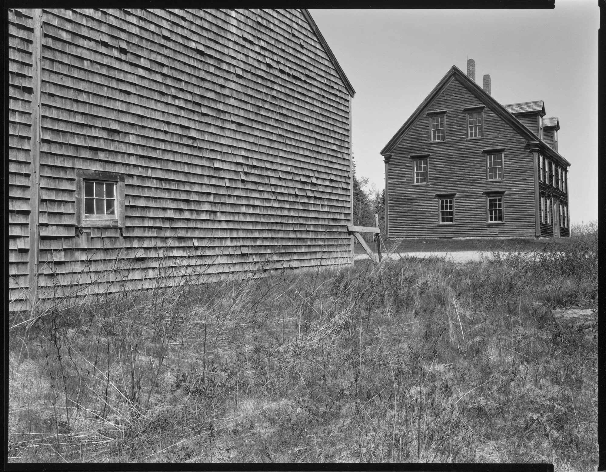 11x14 contact print.