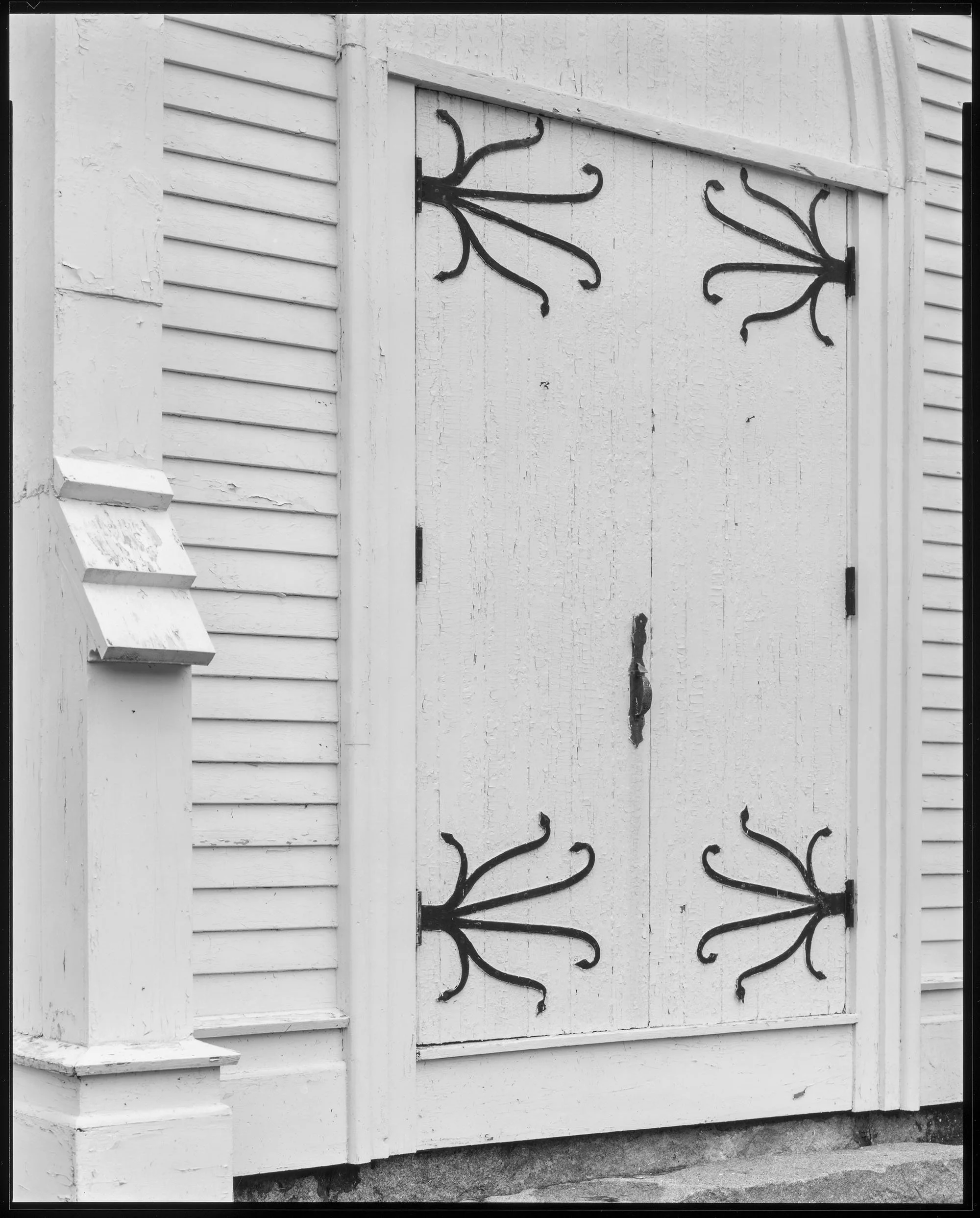 16x20 contact print.