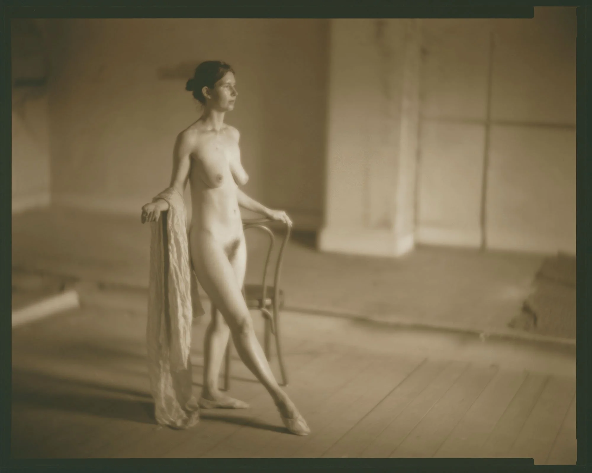 15½ inch Wollensak Velostigmat, f4.5. 11x14 contact print.