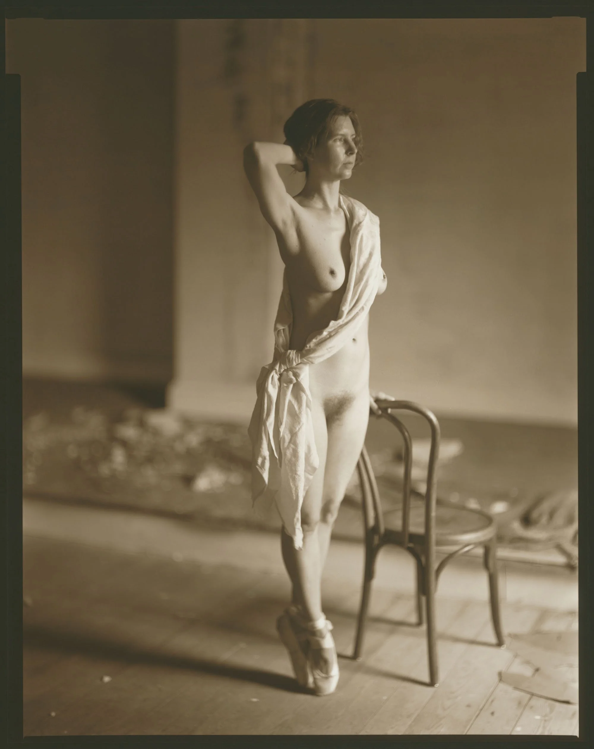 15½ inch Wollensak Velostigmat, Series II, f4.5. 11x14 contact print.