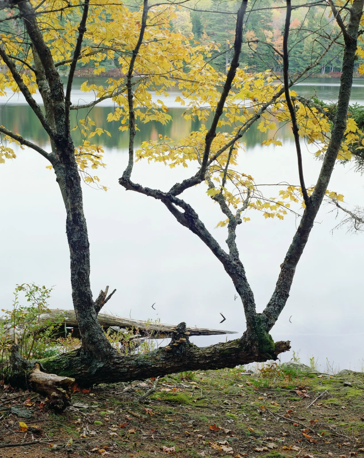 Fall,-Round-Pond.jpg