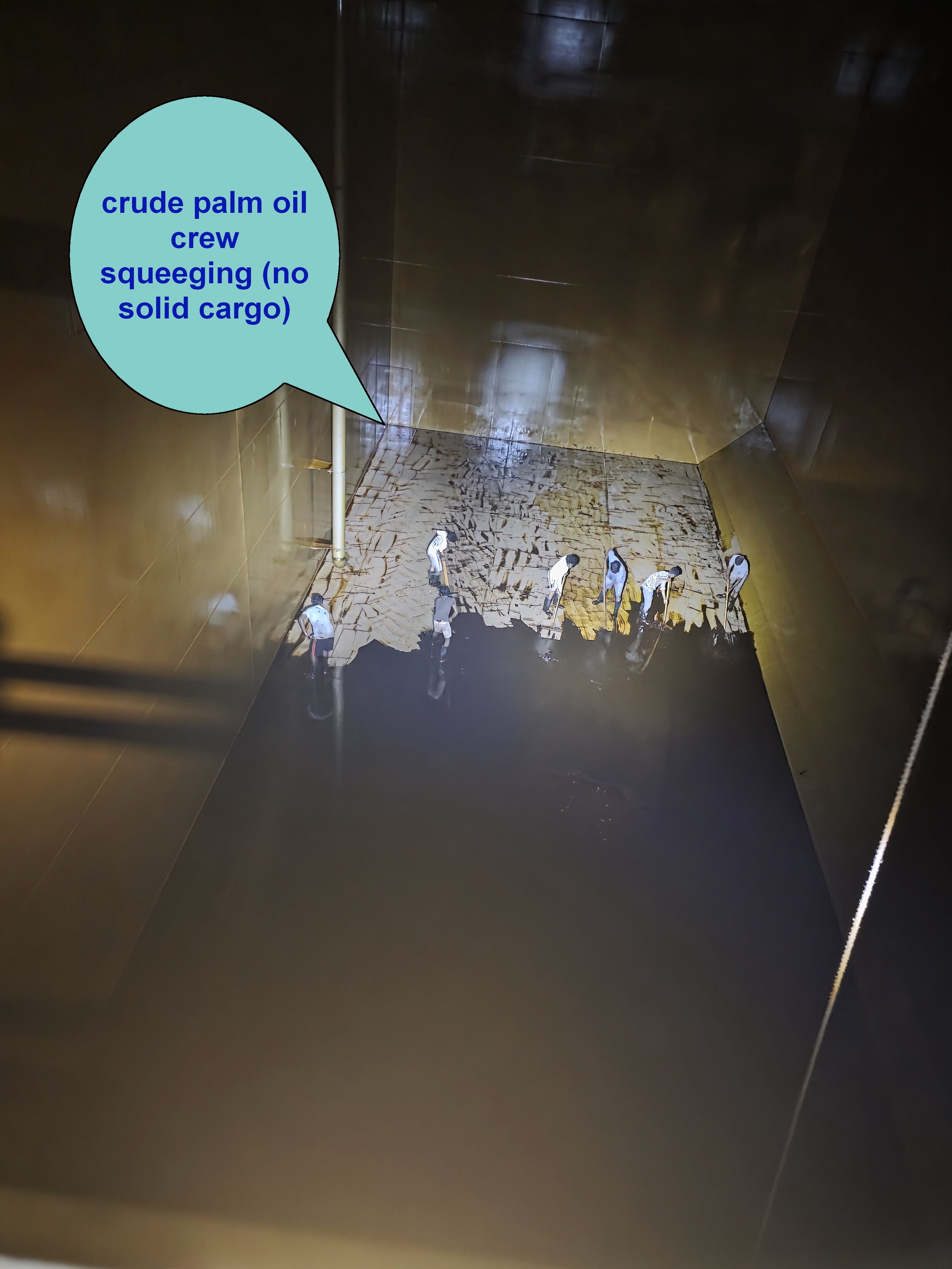 challenges of palm oils 