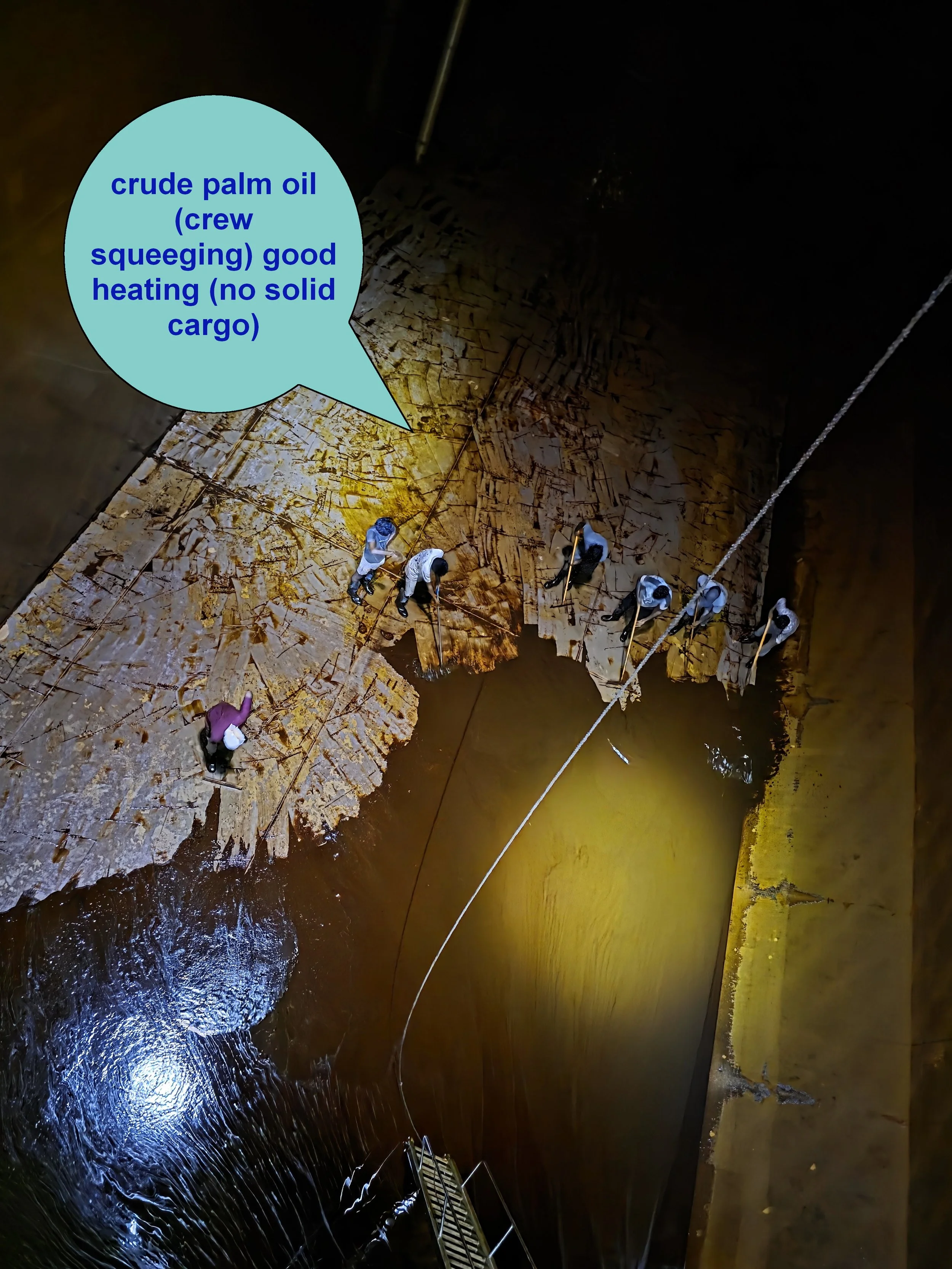 challenges of palm oils 