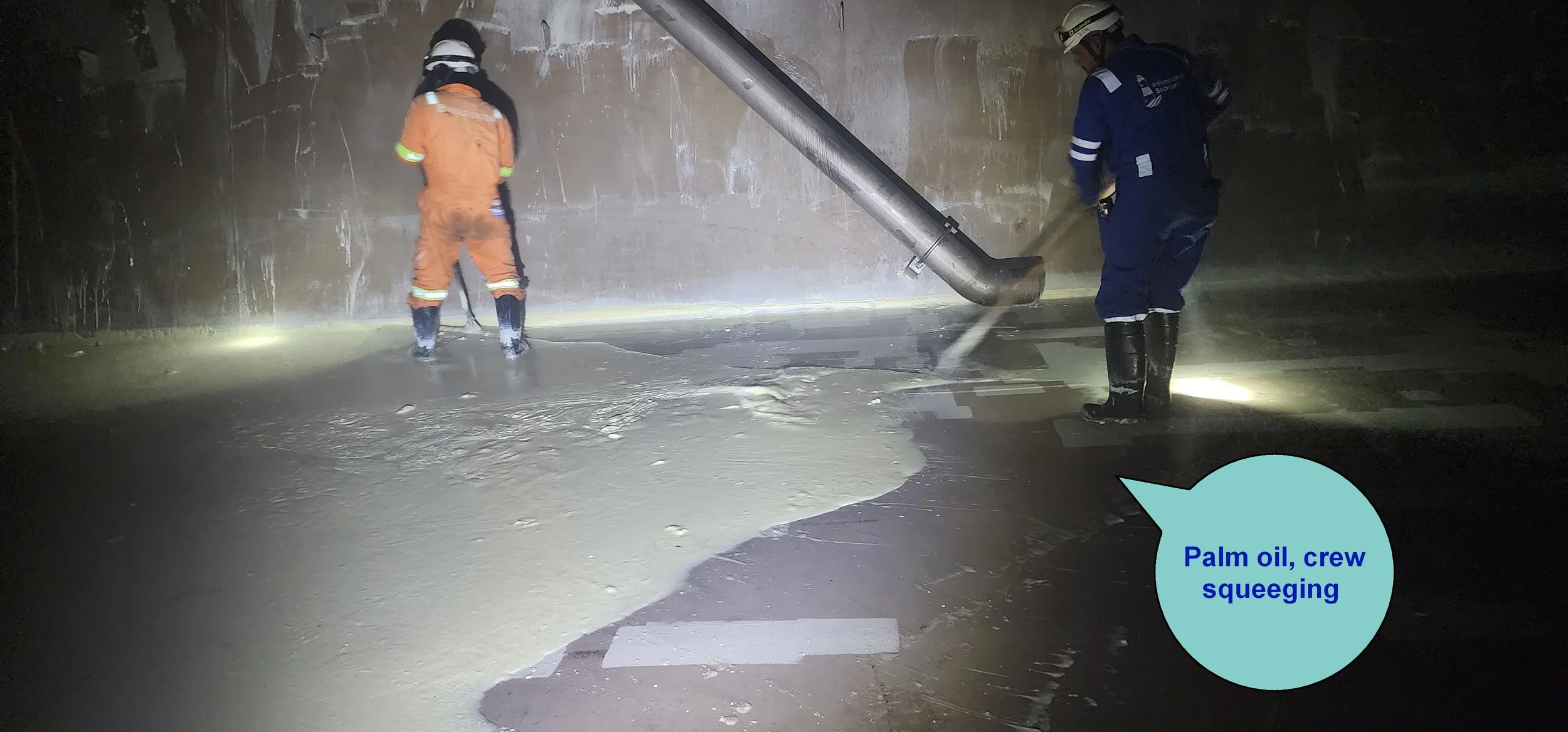 palm oils india discharging