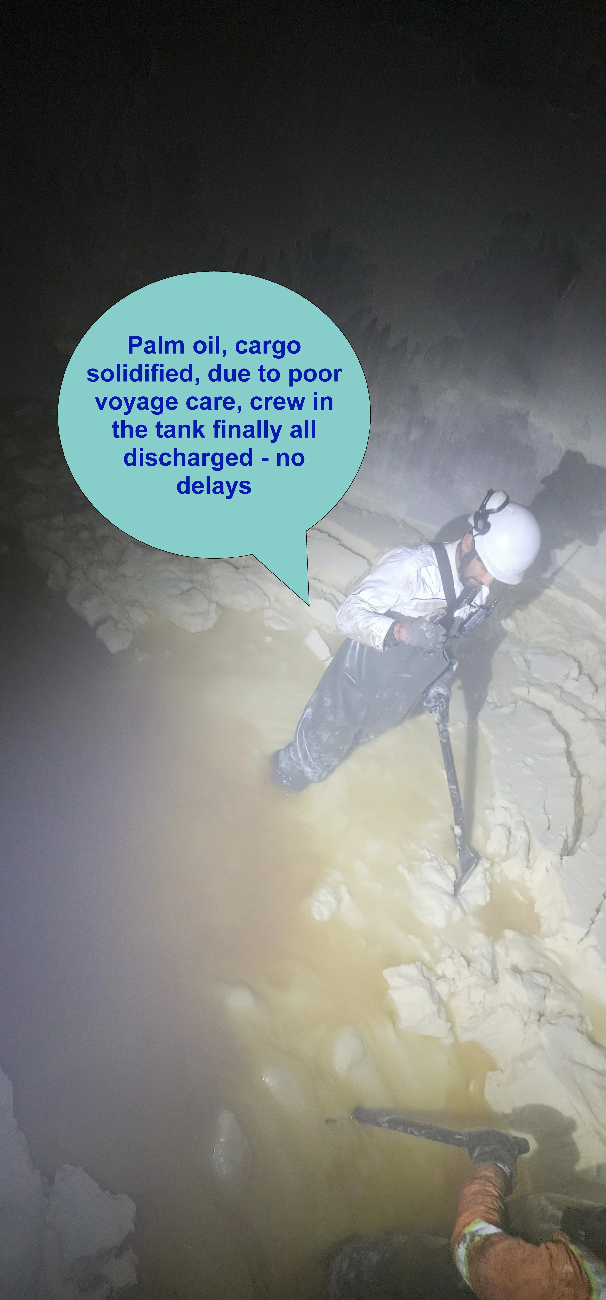 challenges of palm oils 