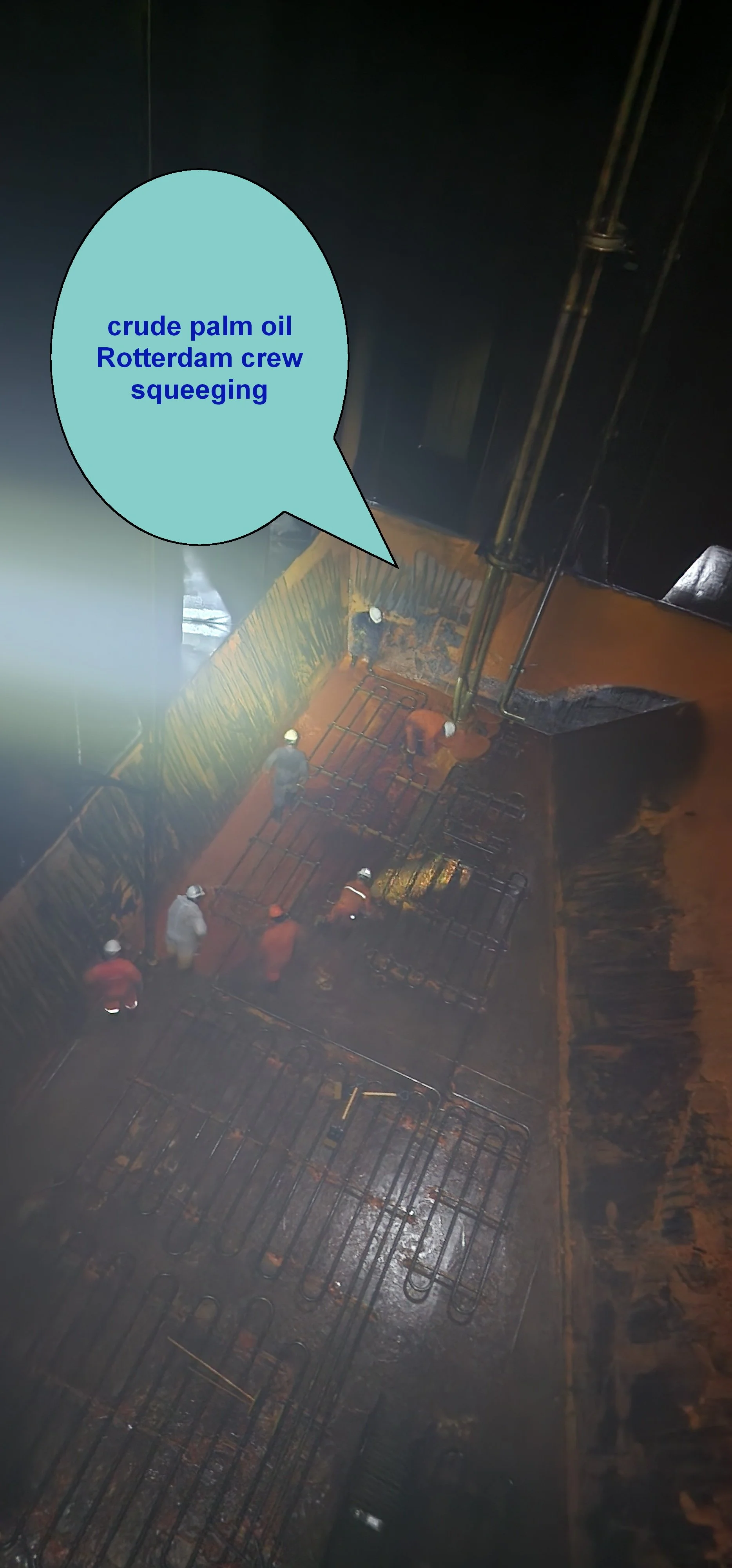 challenges of palm oils 