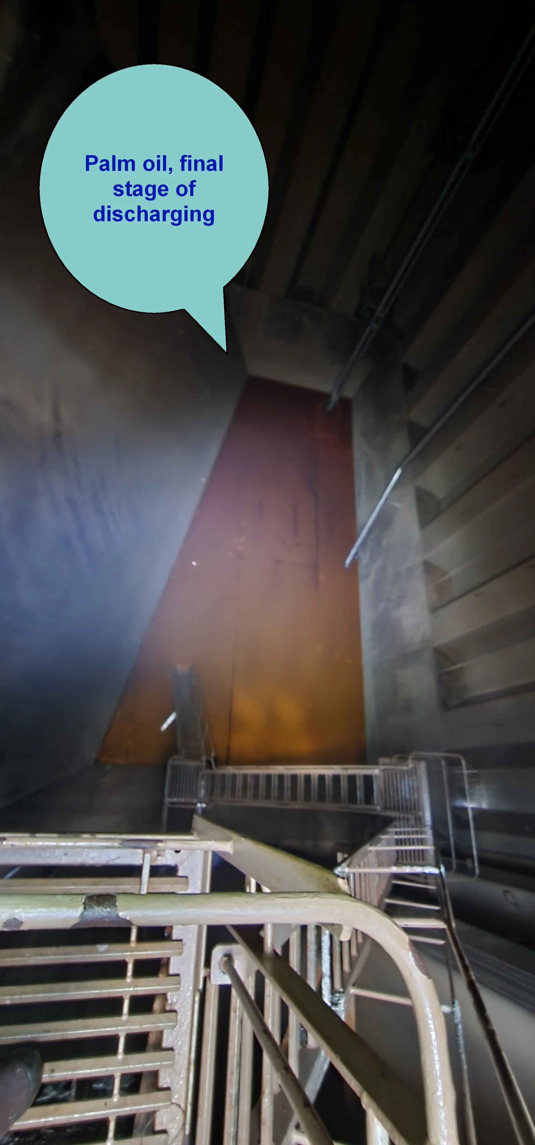 challenges of palm oils 