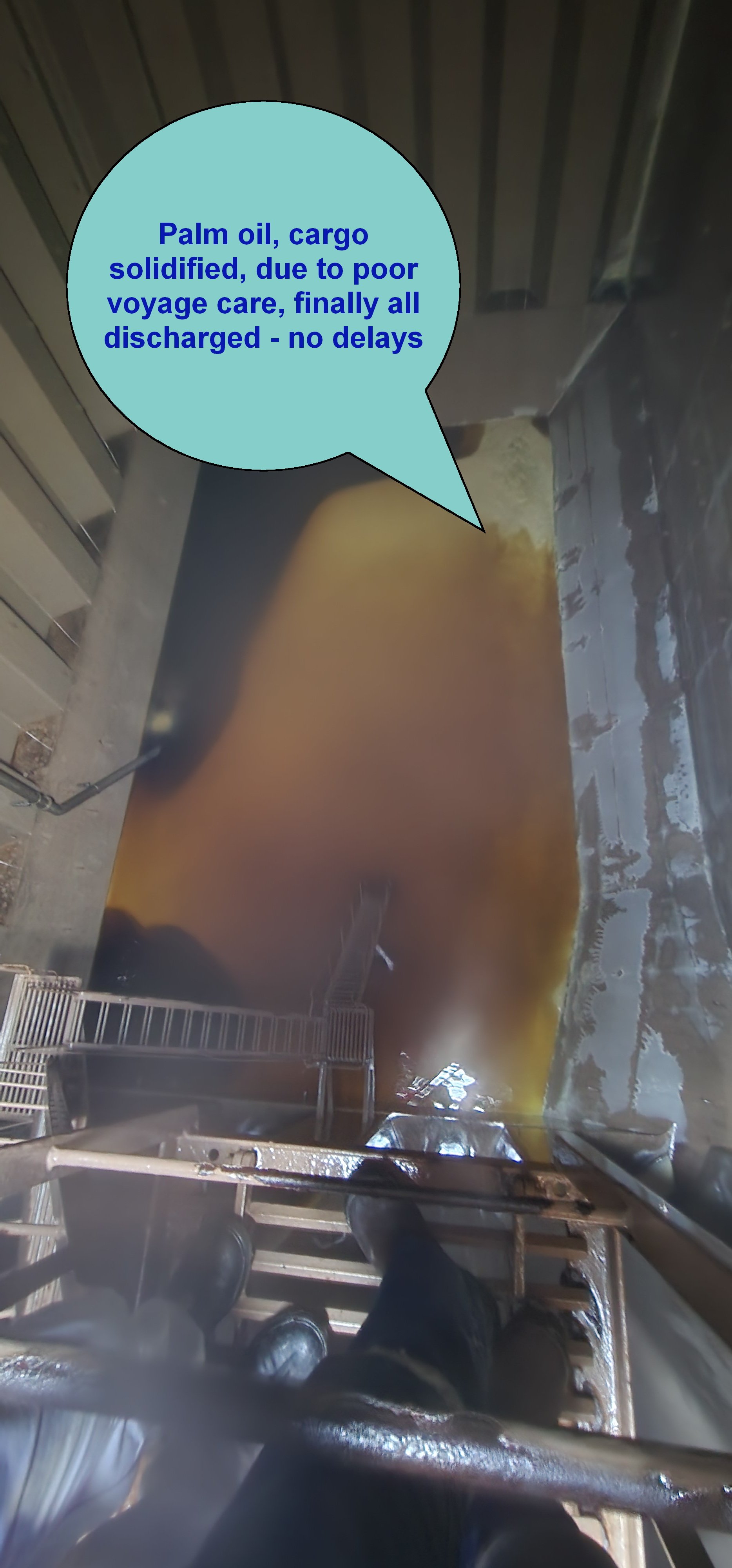 palm oils handling (solidified cargo)