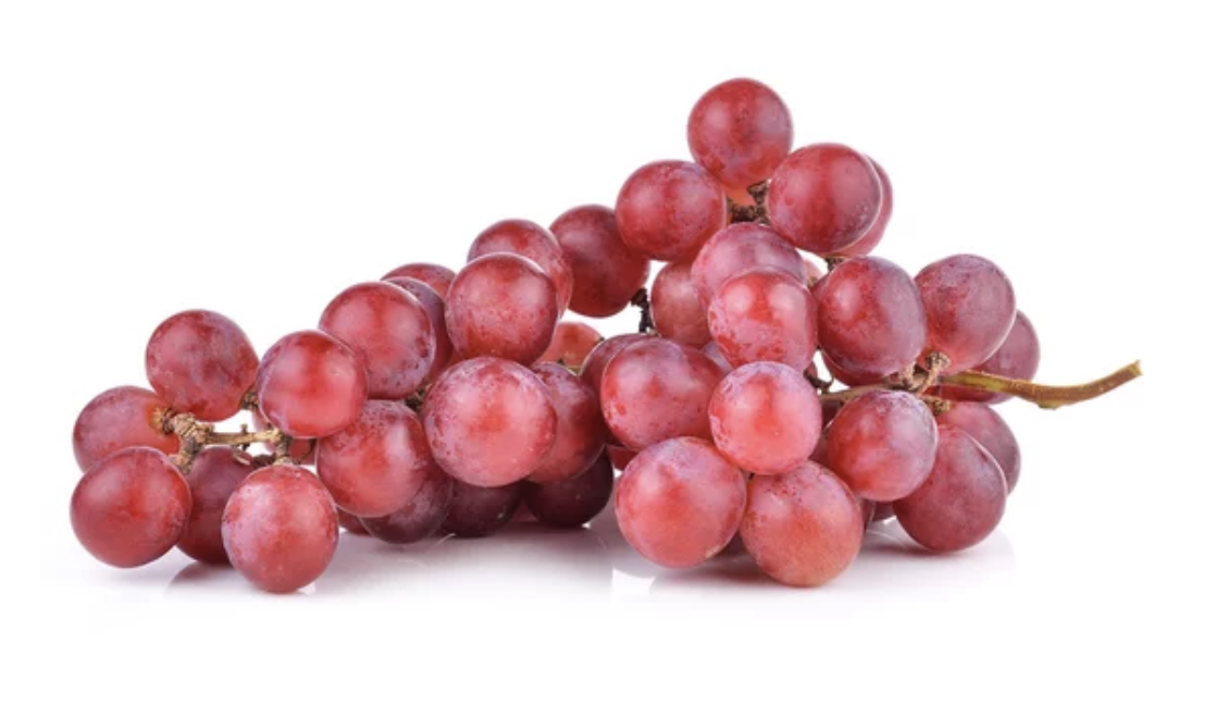 Screenshot 2025-09-29 at 10.58.29 AM.png