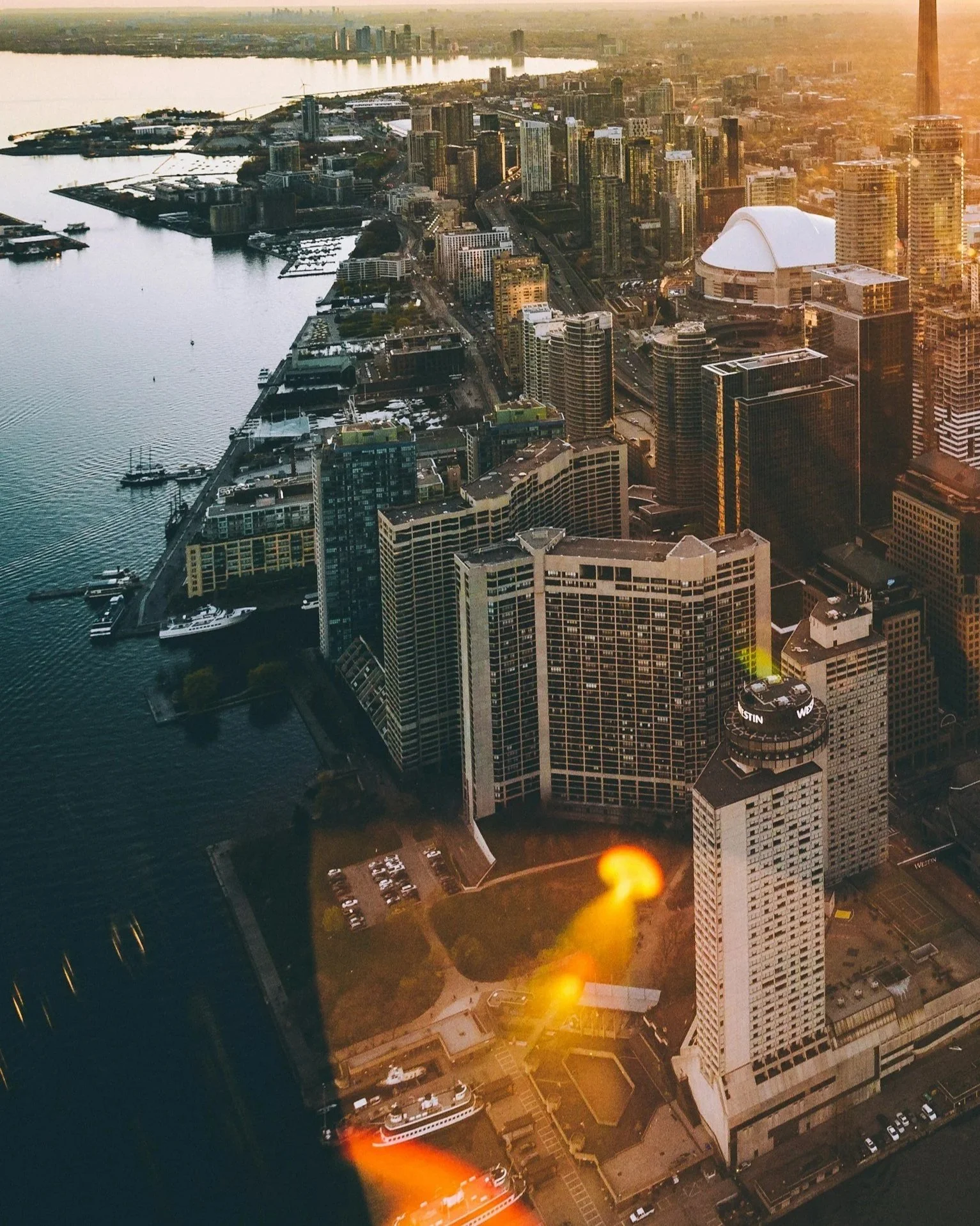 Momentum · Energy · Focus