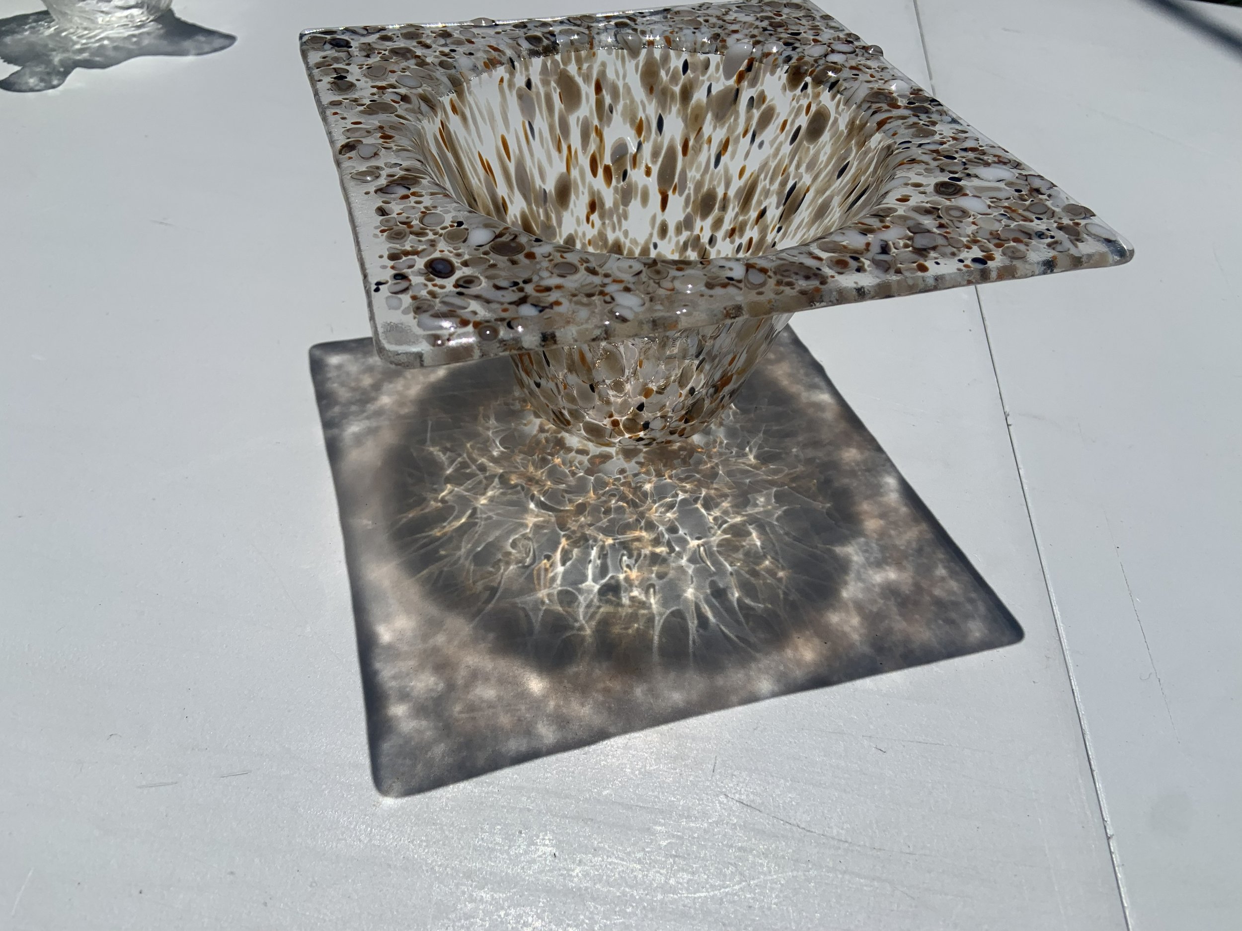 sun through the vase.jpg