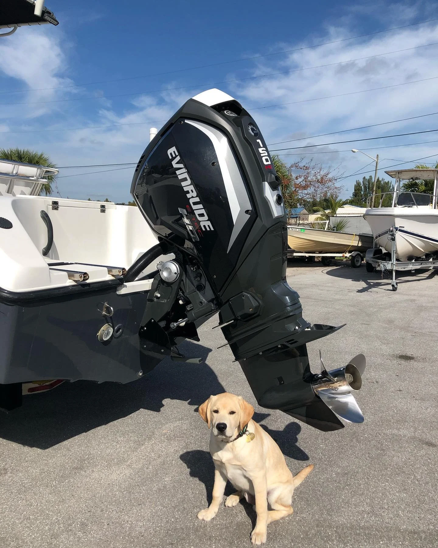 A yellow Labrador puppy sitting on pavement beneath a black outboard motor on a boat, with boats in the background and a partly cloudy sky.