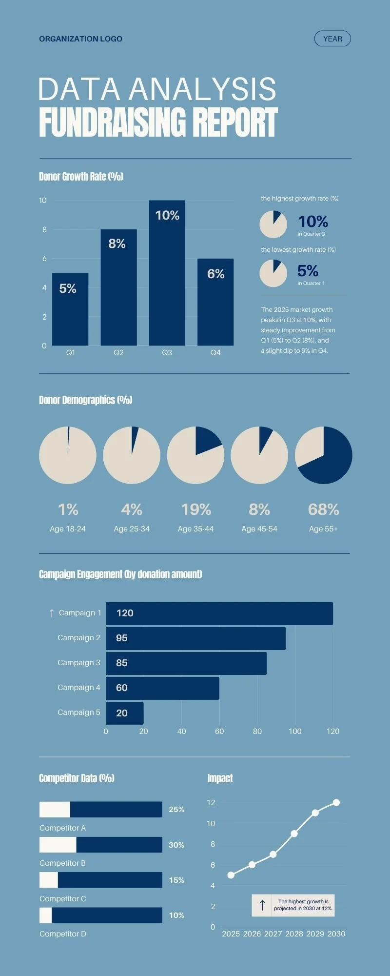 Renata Abbade designed template of infographics of data analysis for nonprofits.