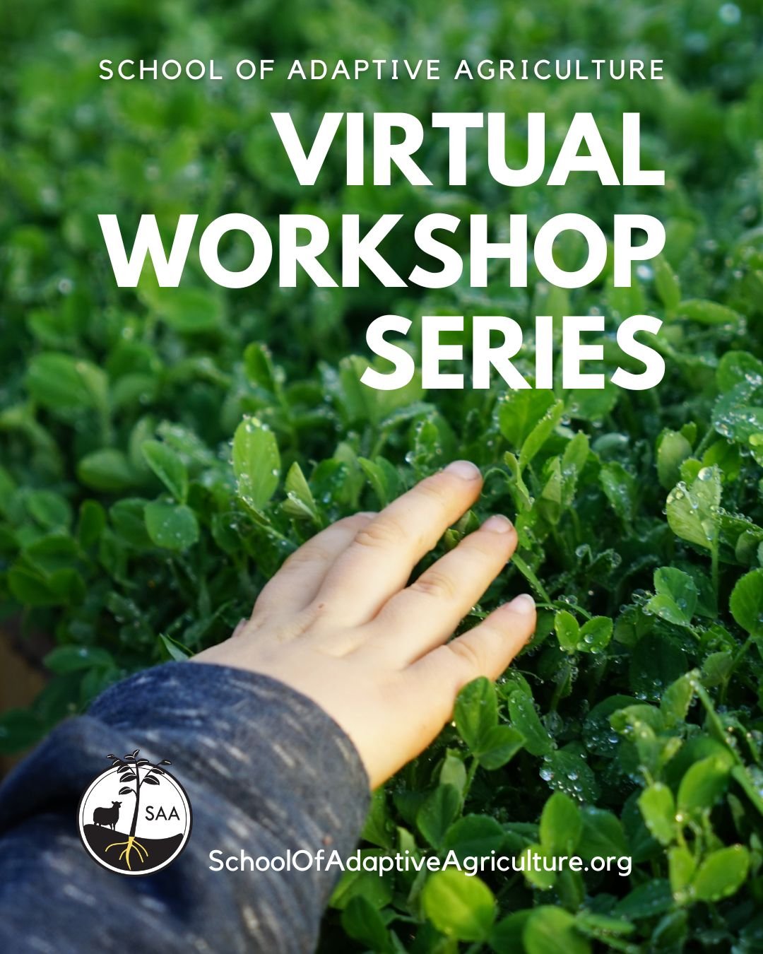 Hand touching green leafy plants in a garden or farm, with overlay text about a virtual workshop series by School of Adaptive Agriculture.