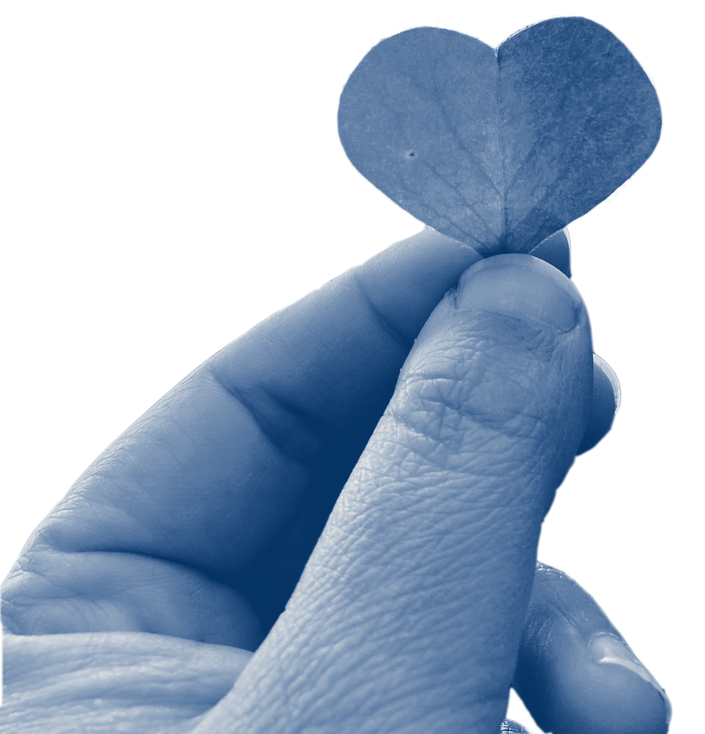 Madrone Care Network