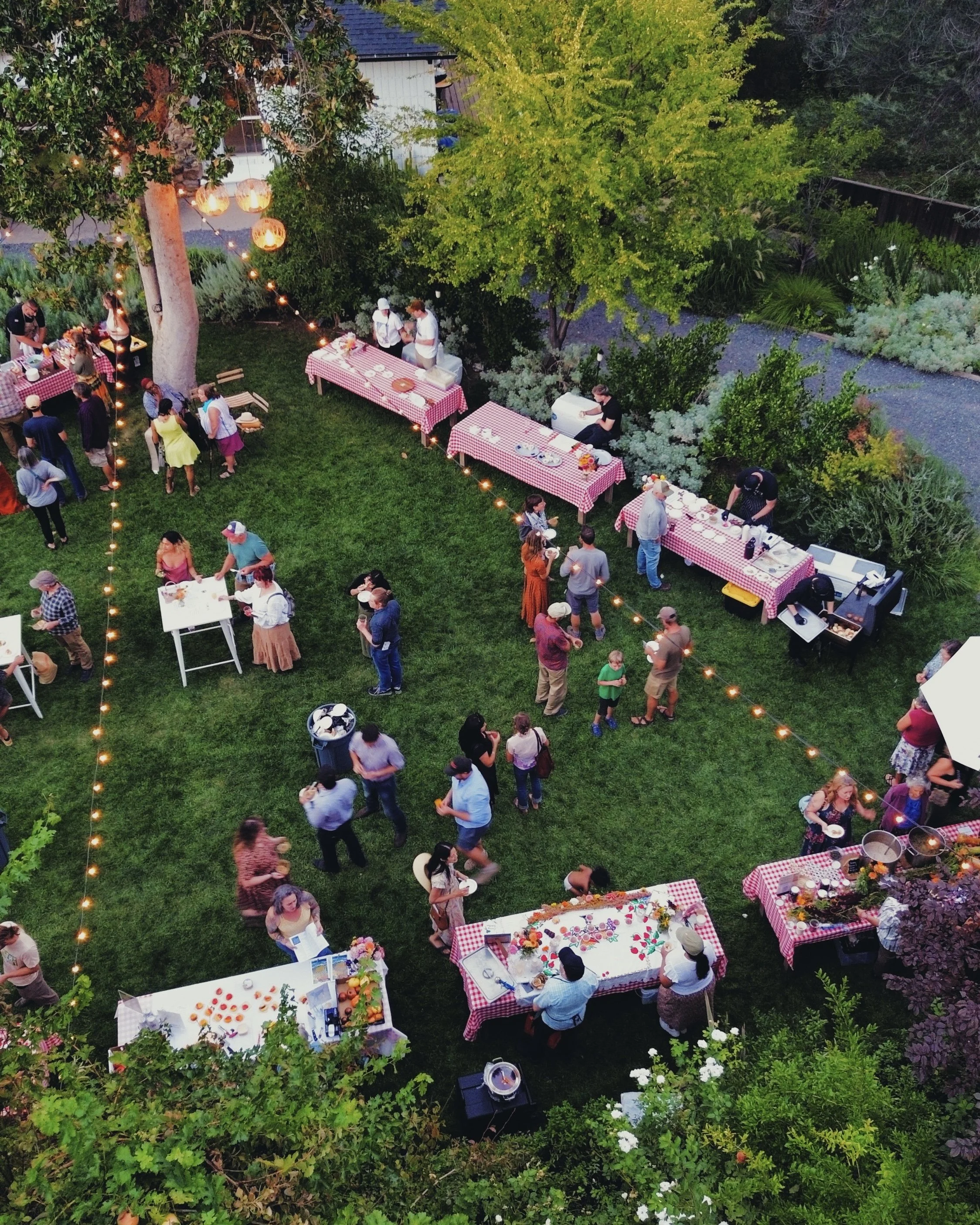 An outdoor gathering at Yokayo Ranch with people mingling around tables with red checkered tablecloths, under string lights, surrounded by green trees and shrubs during early evening. Fundraiser for Good Farm Fund.