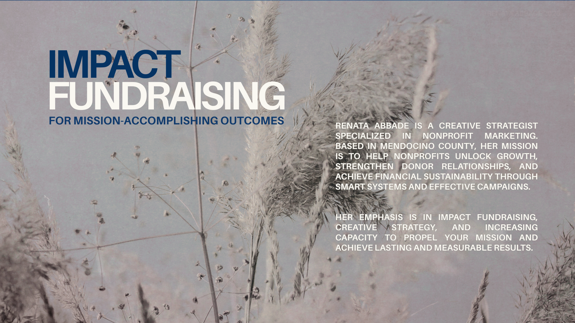 ©Renata Abbade Impact Fundraising Strategy