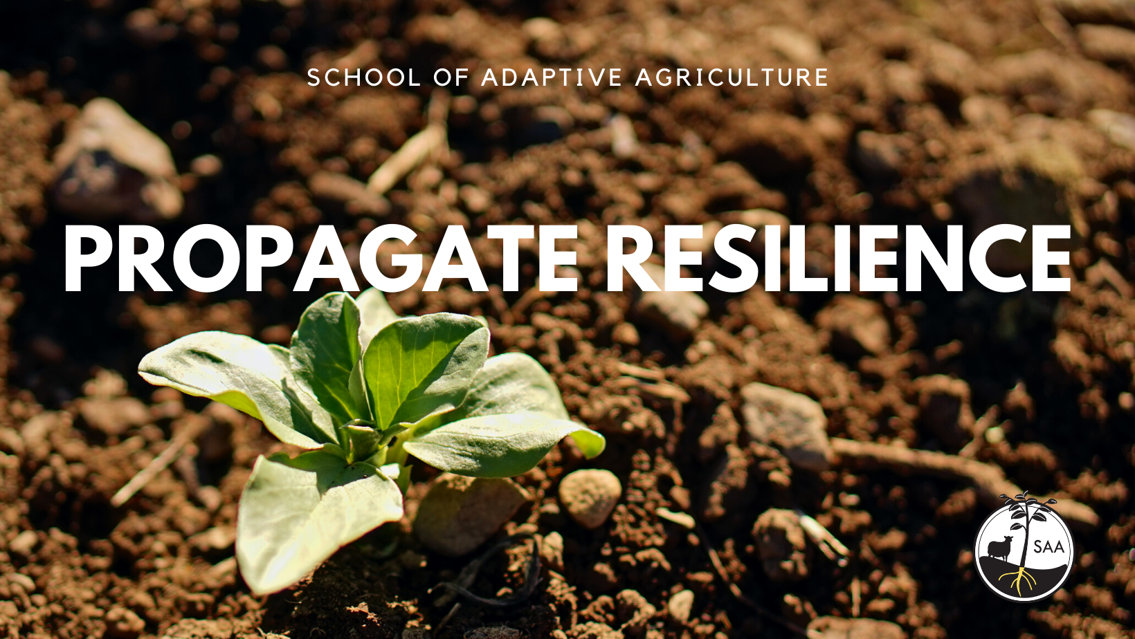 Close-up of a small green plant sprouting in brown soil, with logo of a sheep, plant, and roots in a circle at the bottom right corner. Propagate resilience for the School of Adaptive Agriculture