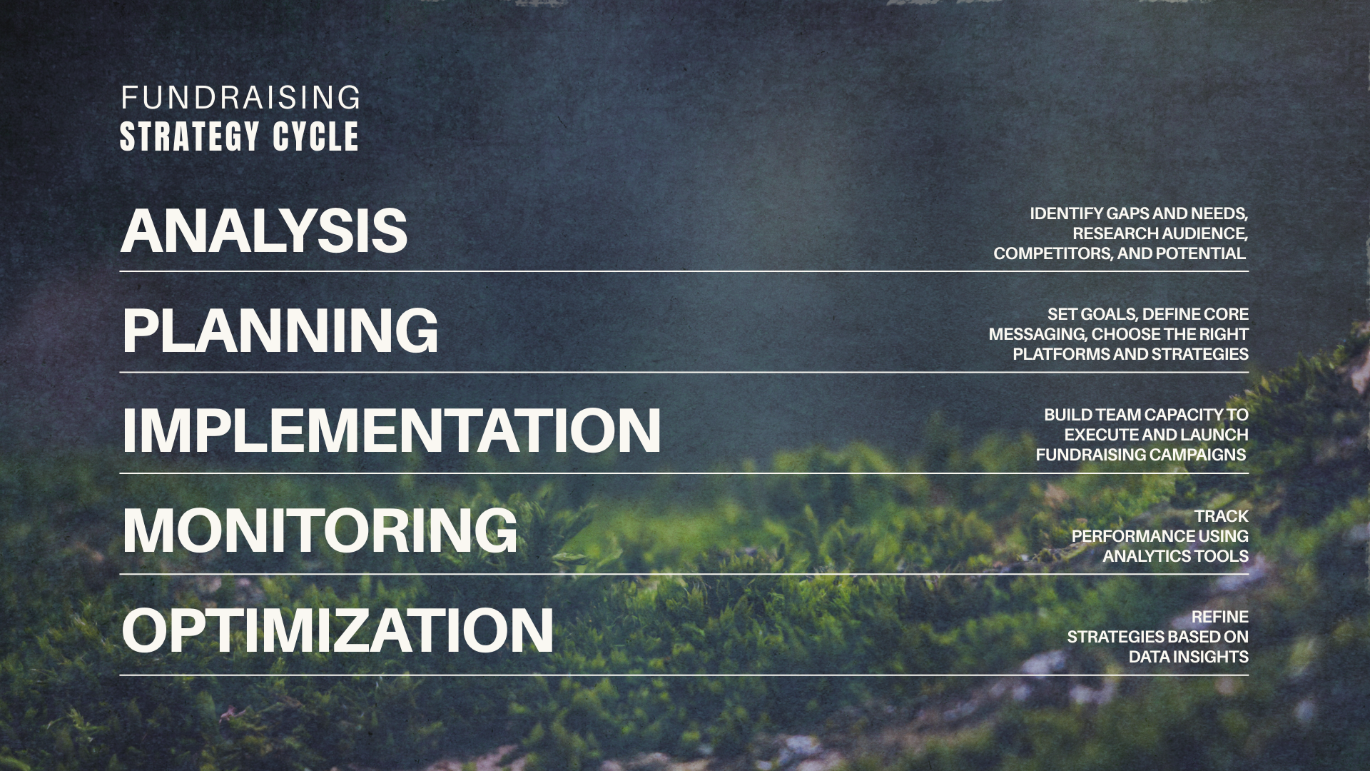 Fundraising Strategy Cycle Renata Abbade